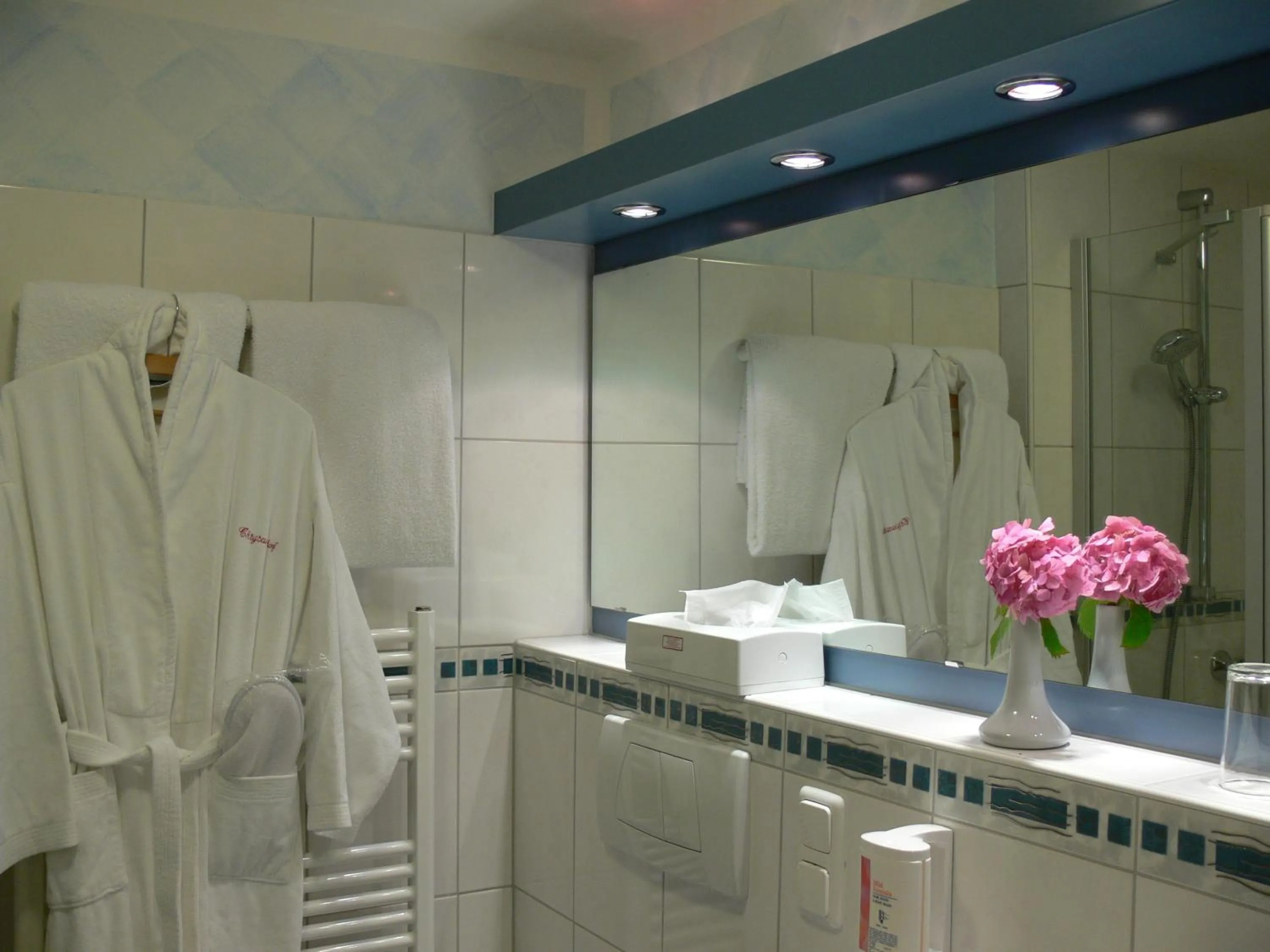 Bathroom in Hotel Chrysantihof