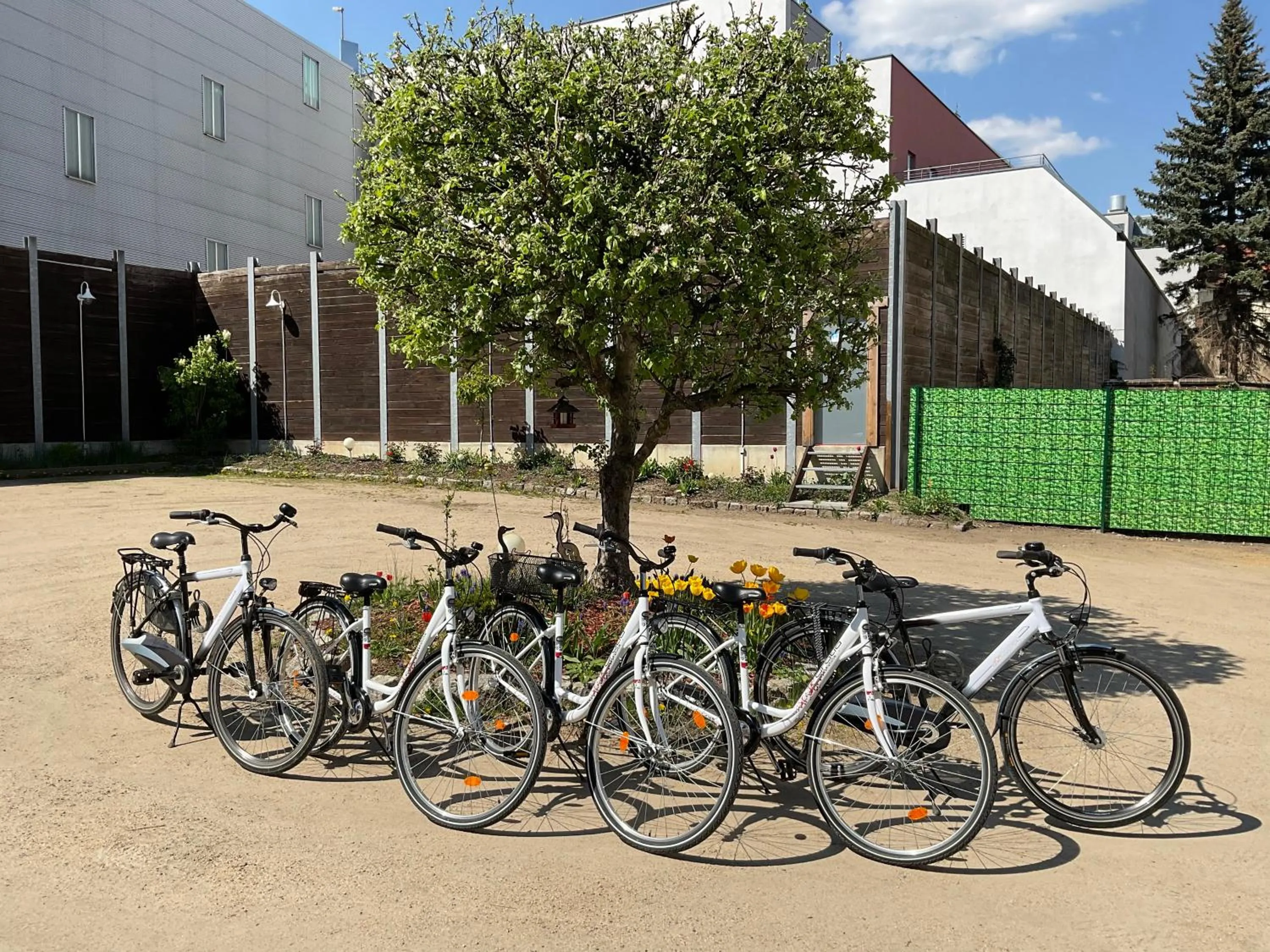 Cycling in Hotel Meridian