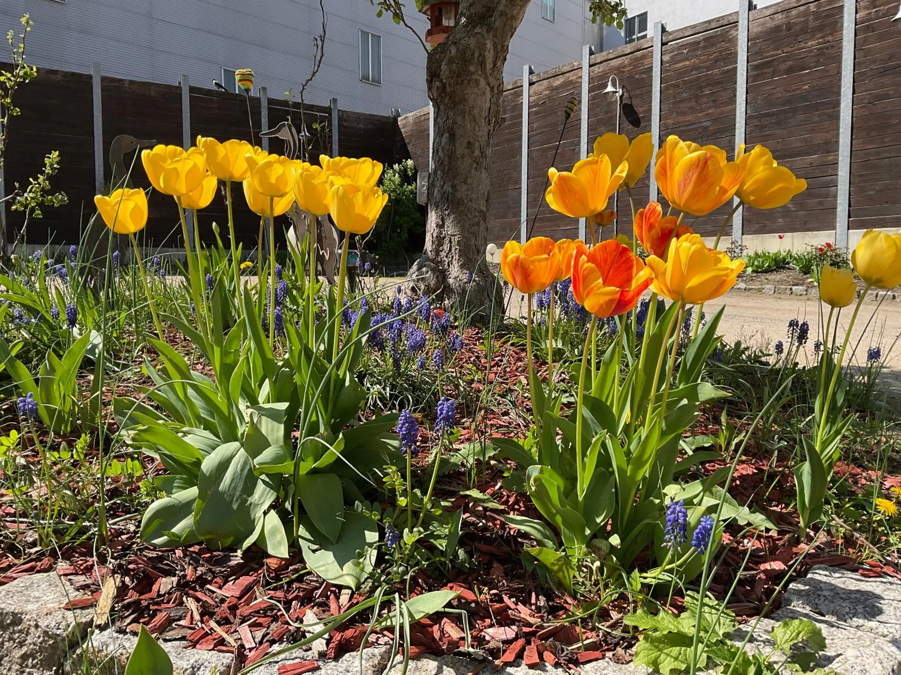 Patio in Hotel Meridian