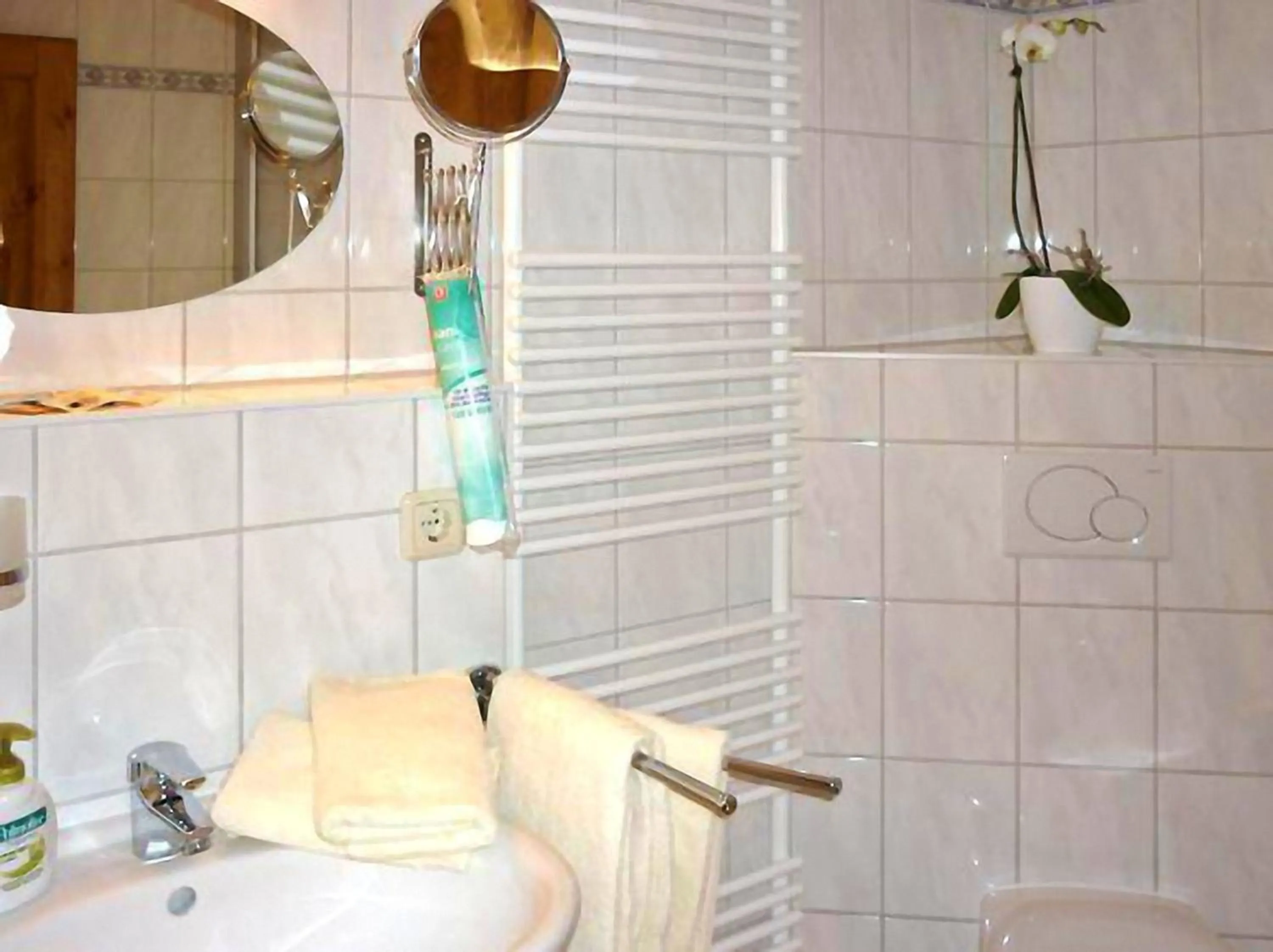 Bathroom in Hotel Meridian