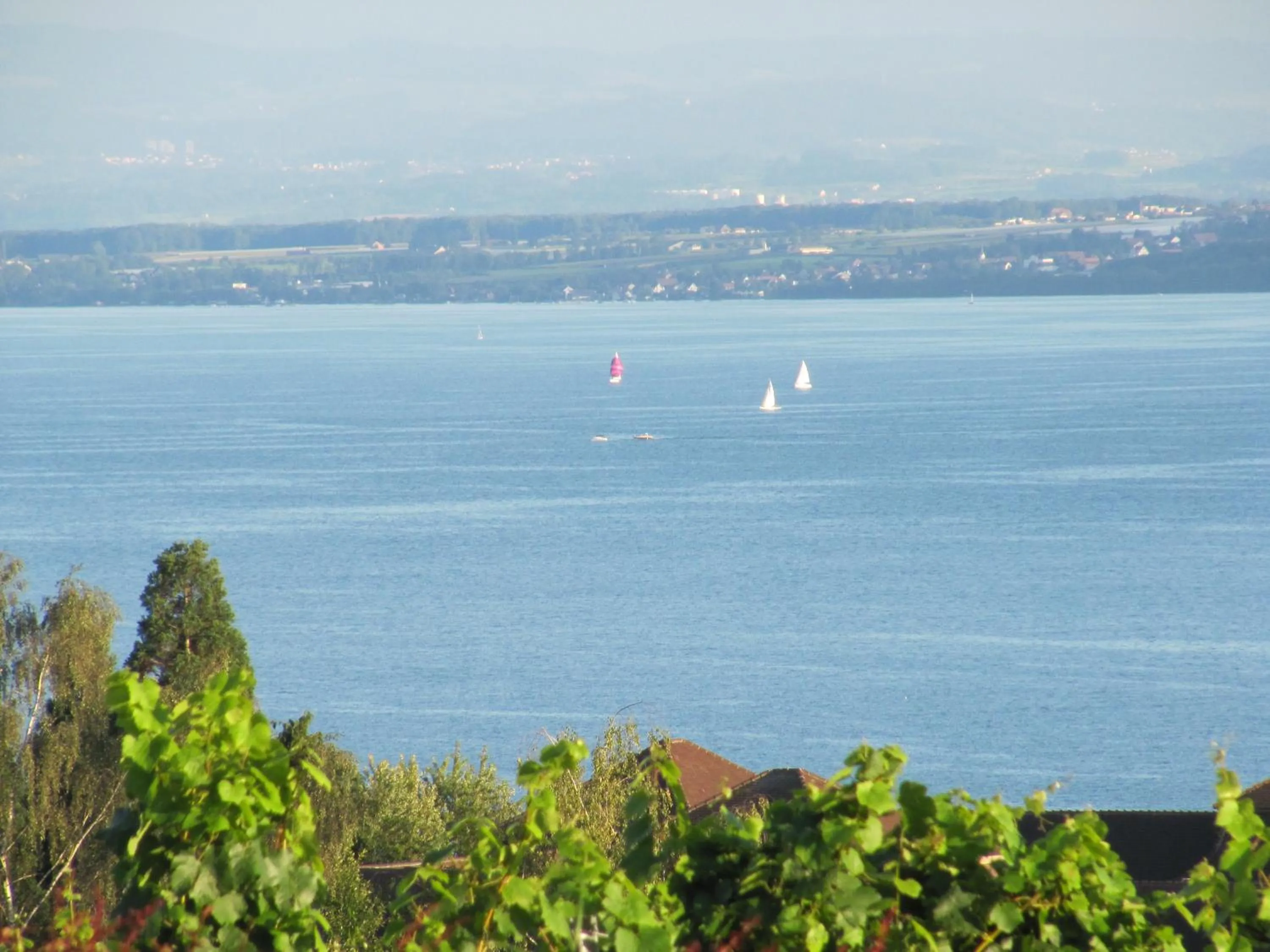 Natural landscape in Hotel Villa Seeschau - Adults only