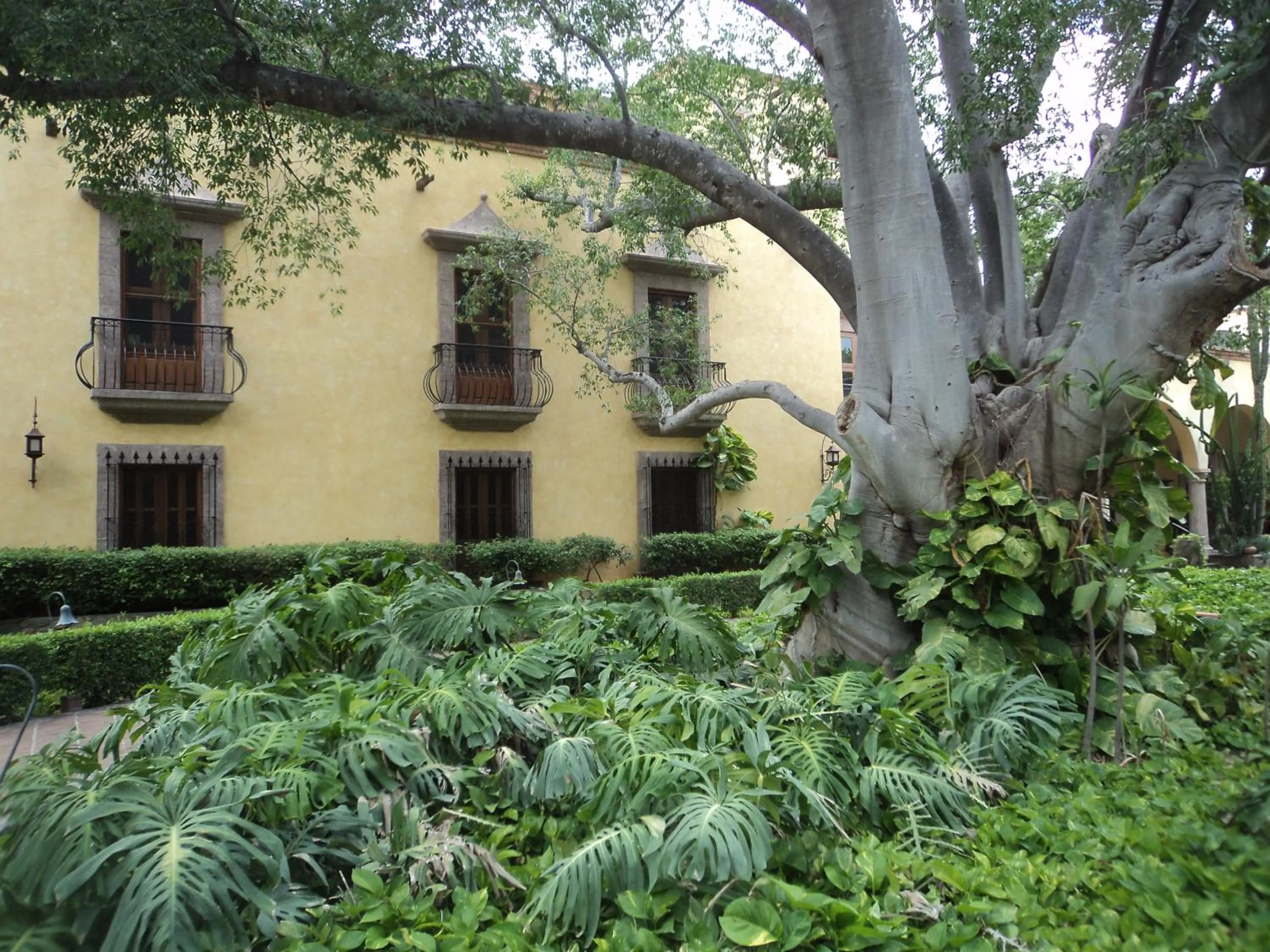 Patio in Hacienda de los Santos