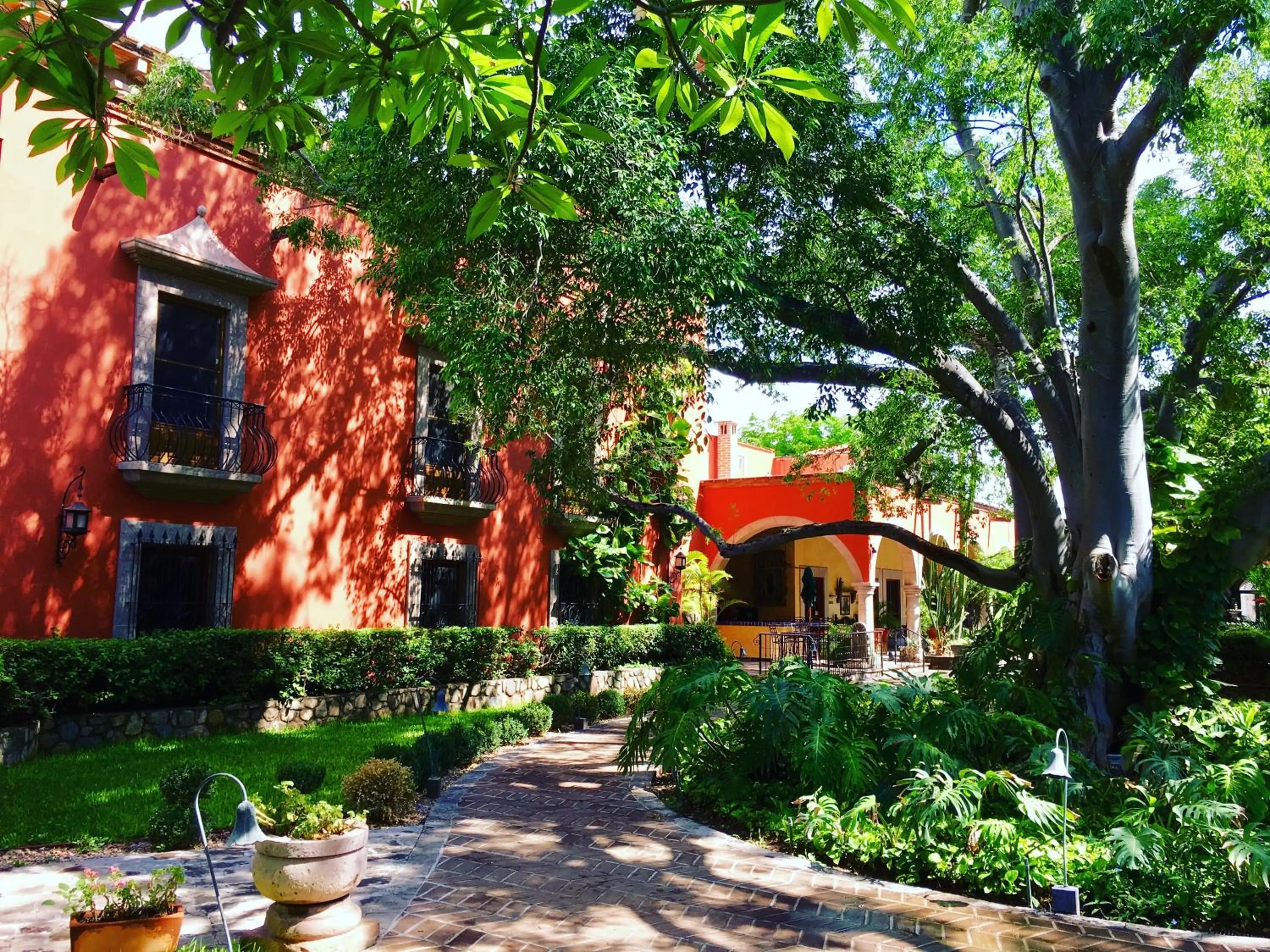 Garden in Hacienda de los Santos