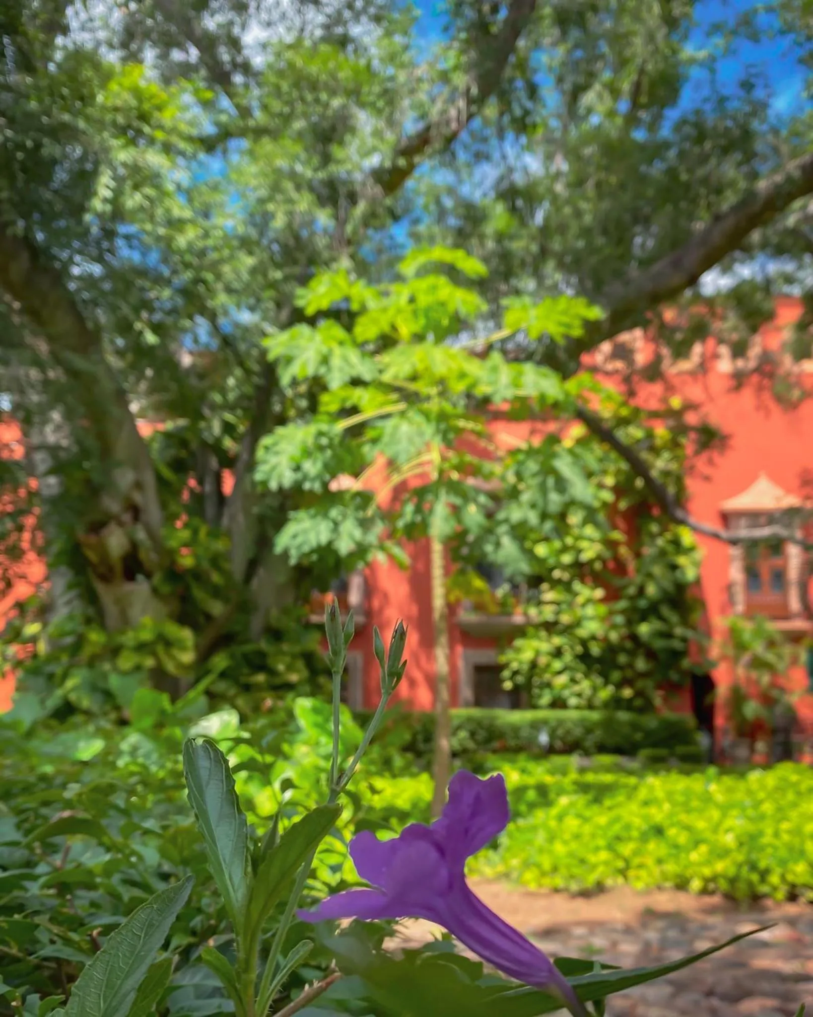 Day in Hacienda de los Santos