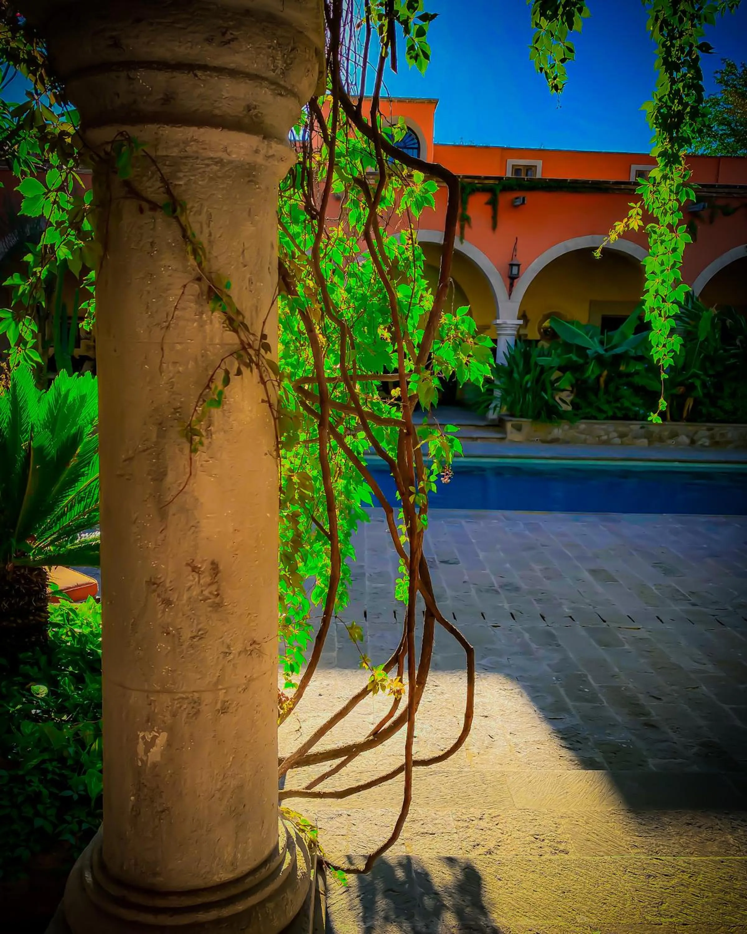 Swimming pool in Hacienda de los Santos