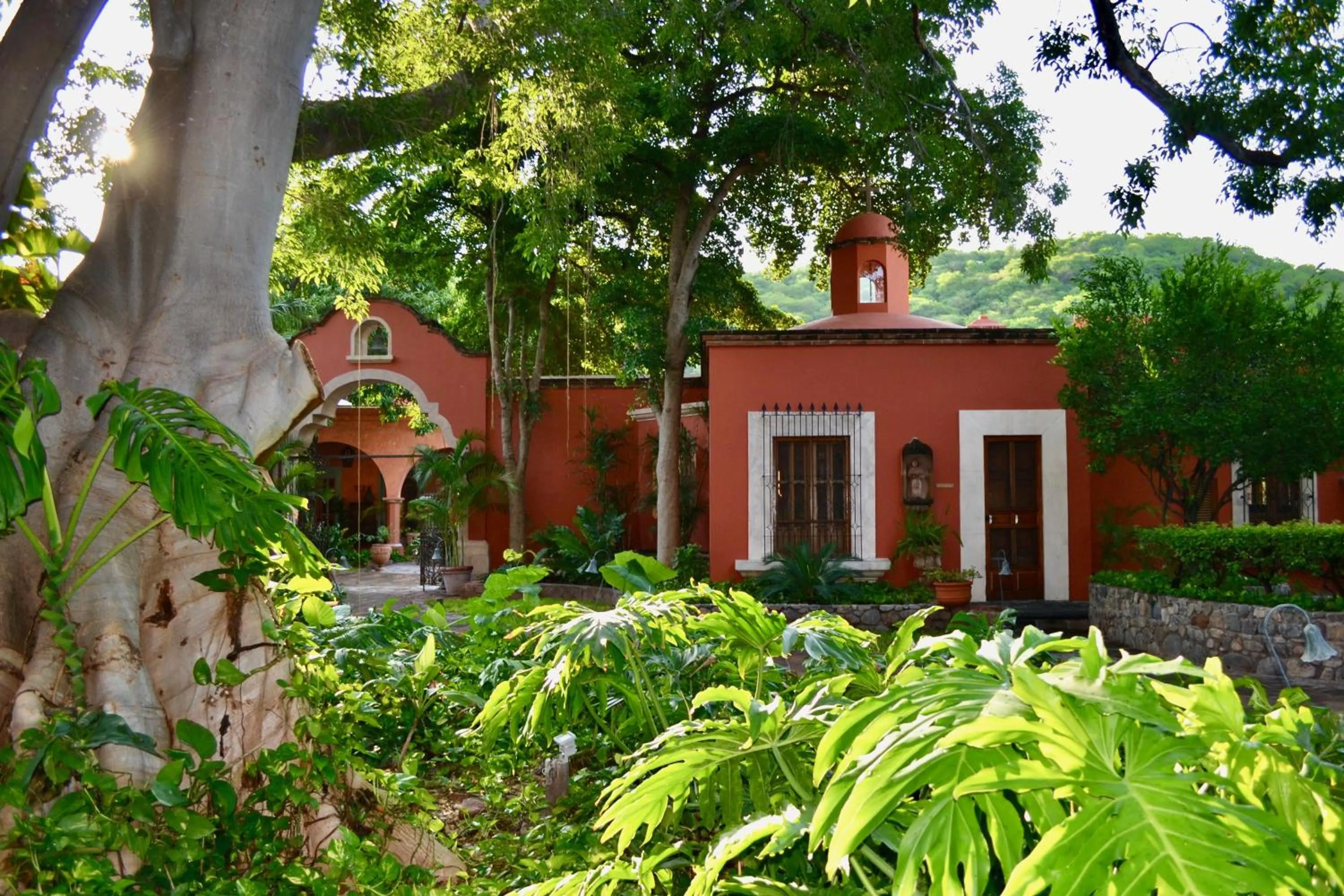 Garden in Hacienda de los Santos