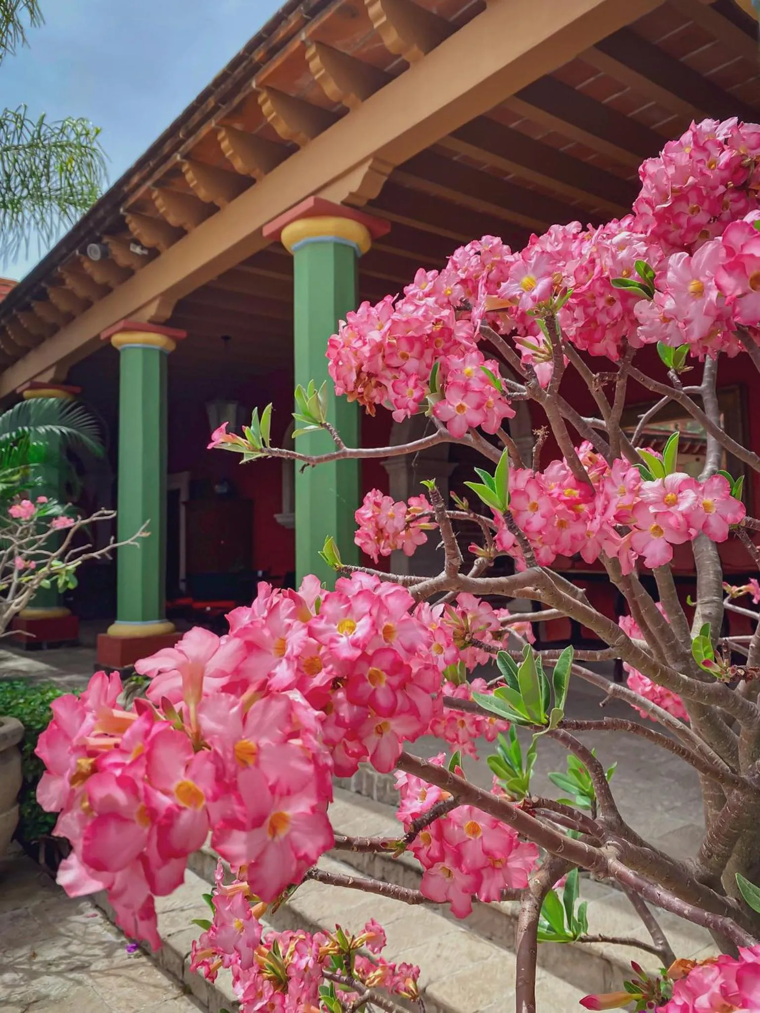 Spring in Hacienda de los Santos