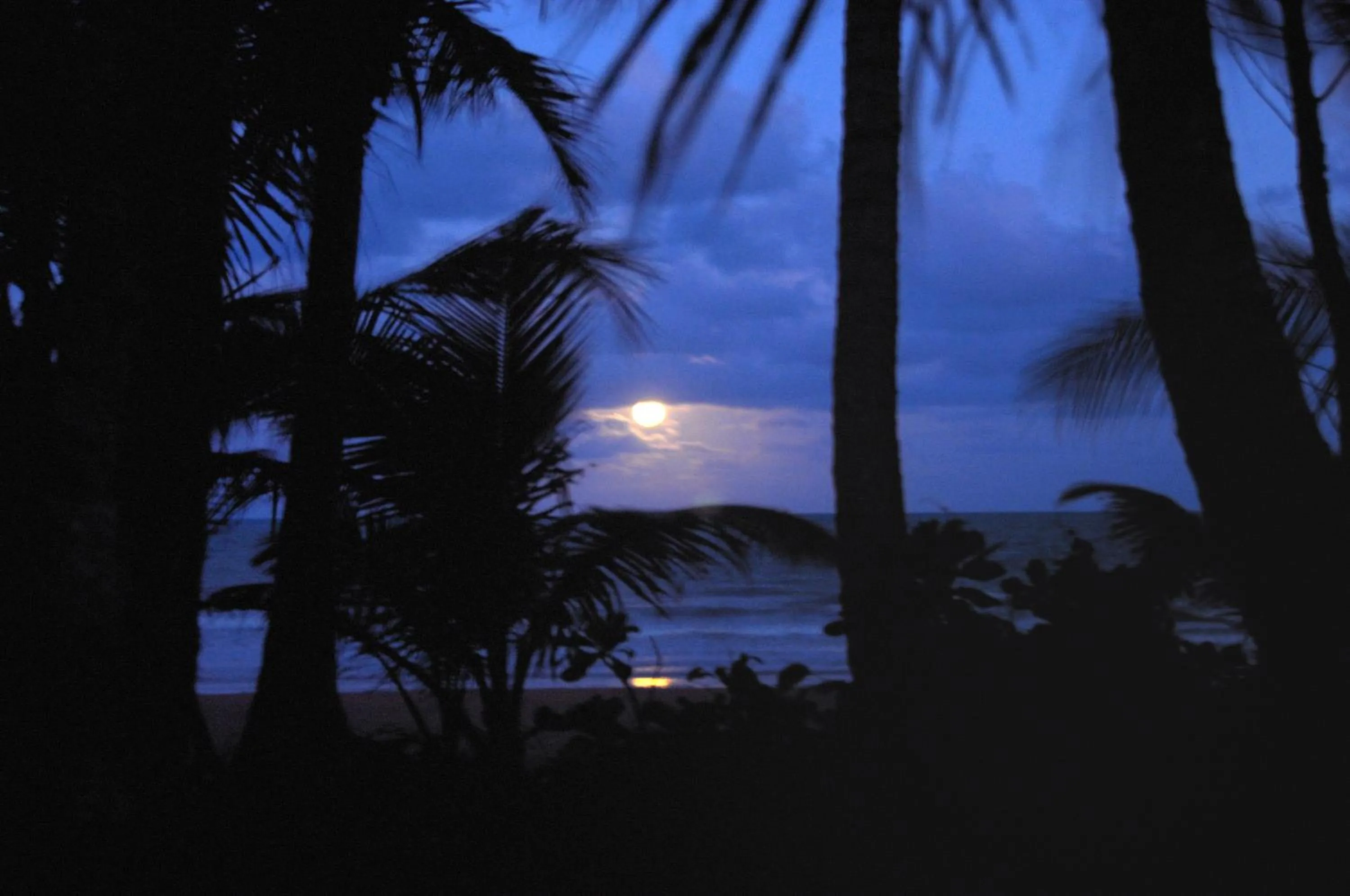 Beach in Sejala Beach Huts