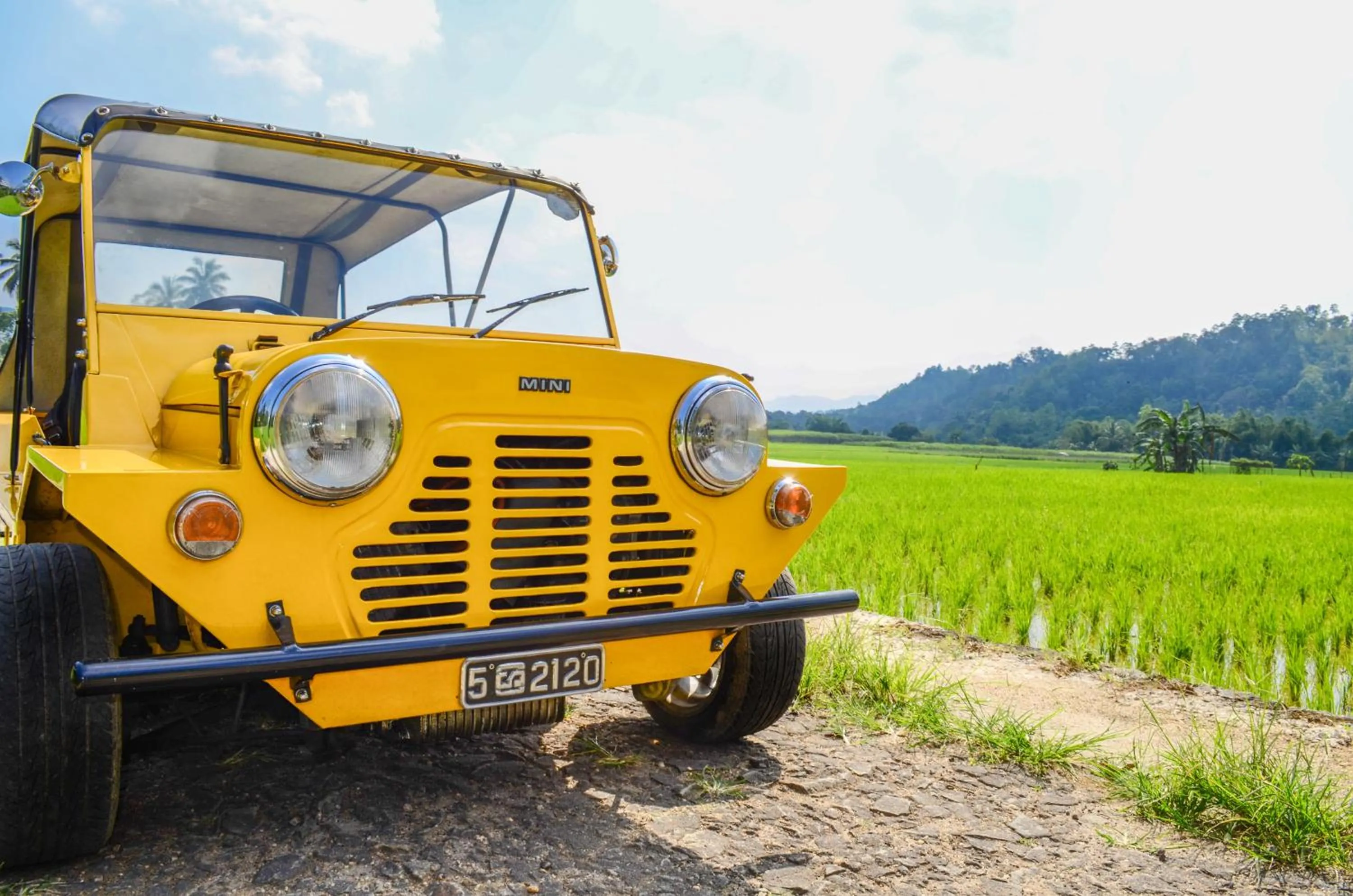 Day in The Elephant Stables