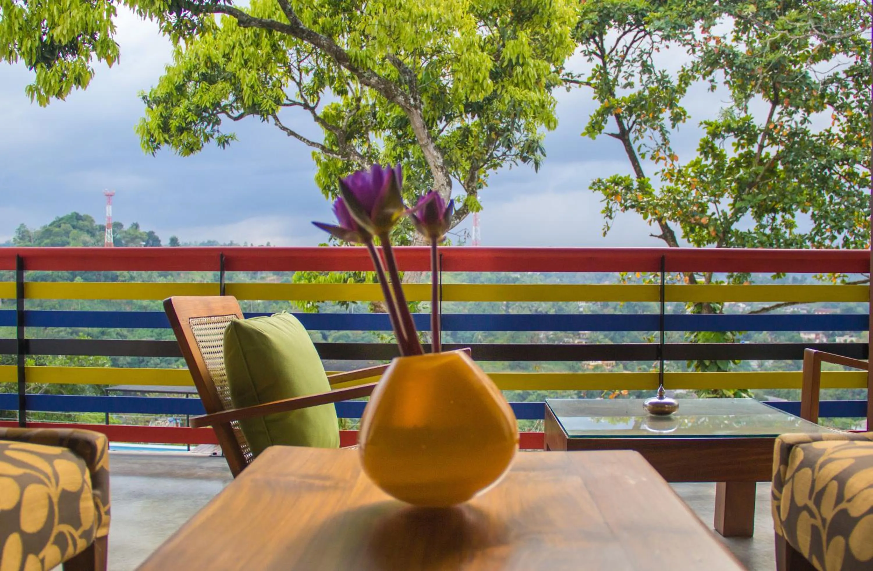 Day in The Elephant Stables