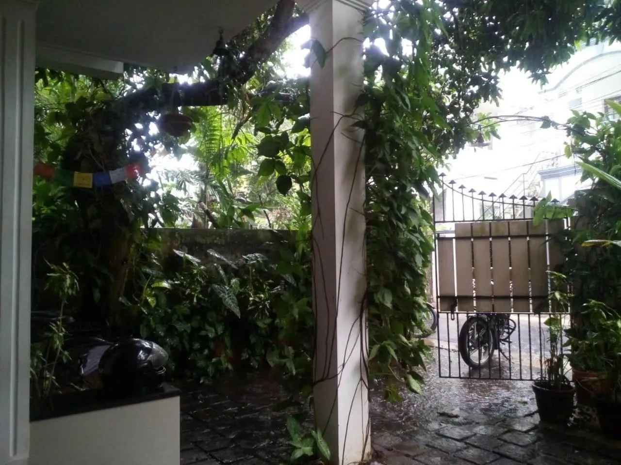 Garden in Nathans Holiday Home