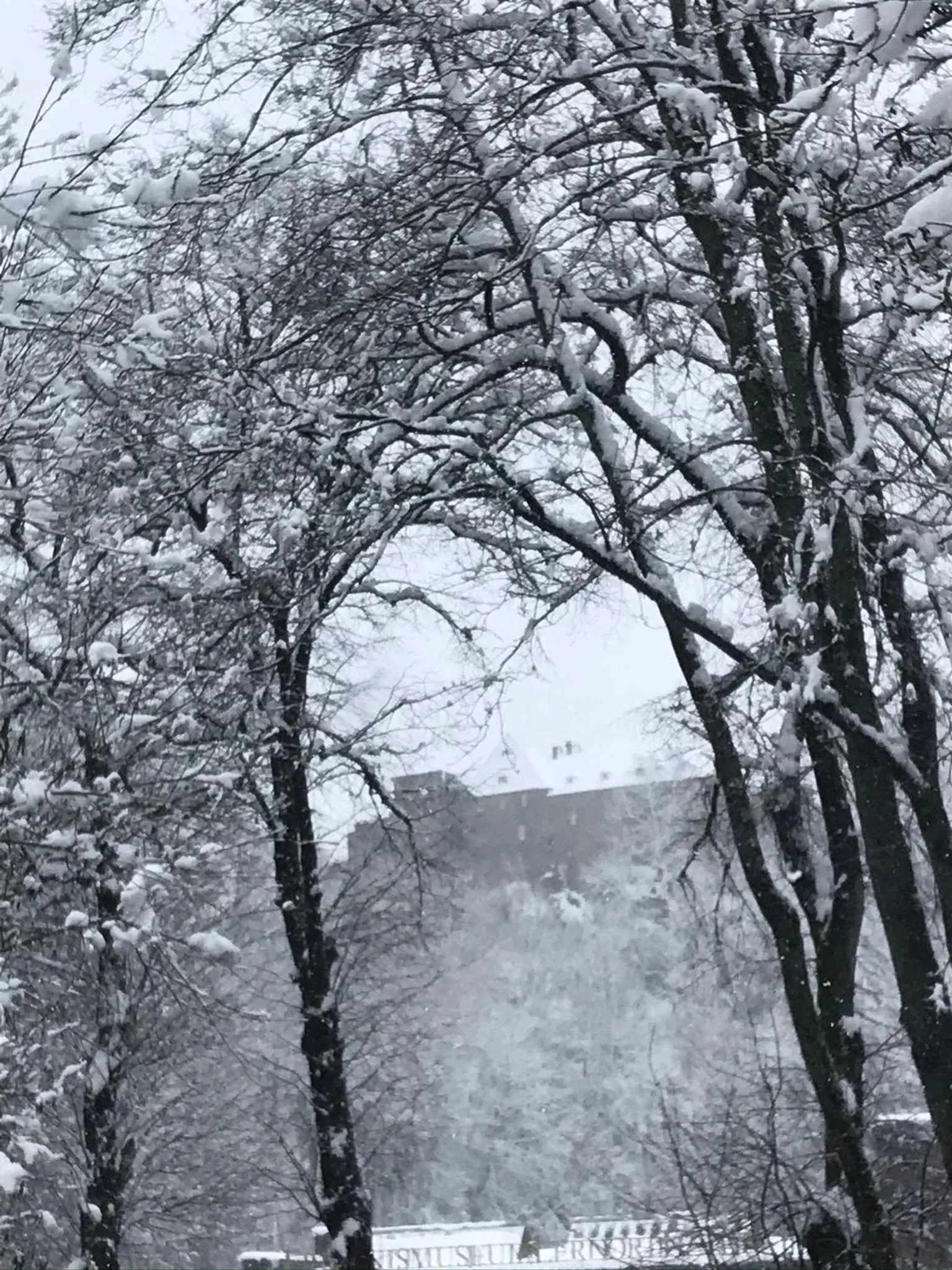 Natural landscape in Hotel Alt Montjoie