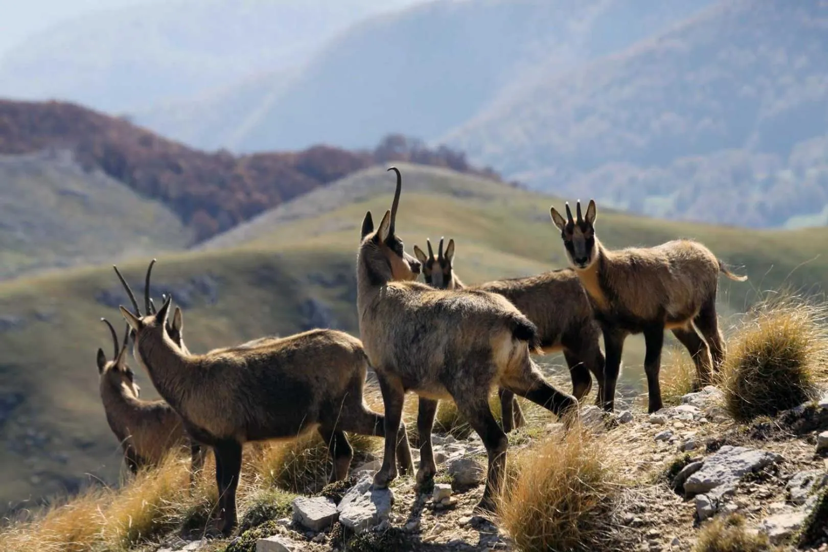 B&B La casa dei nonni