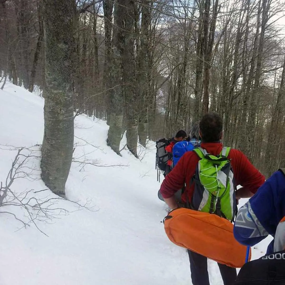 Property building in B&B La casa dei nonni