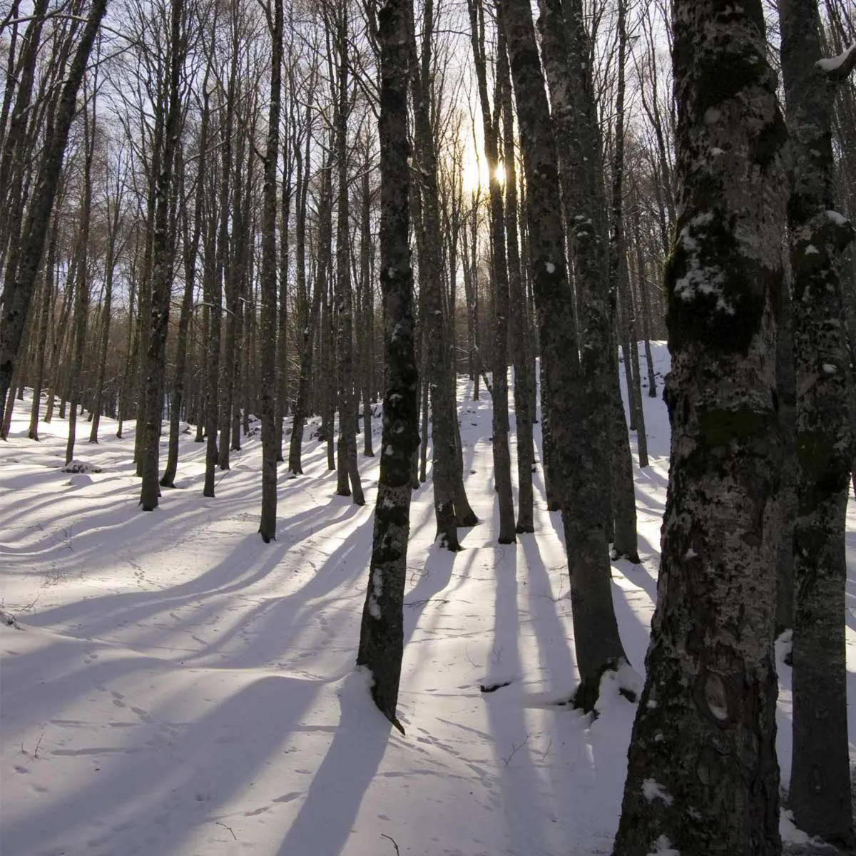 Property building in B&B La casa dei nonni