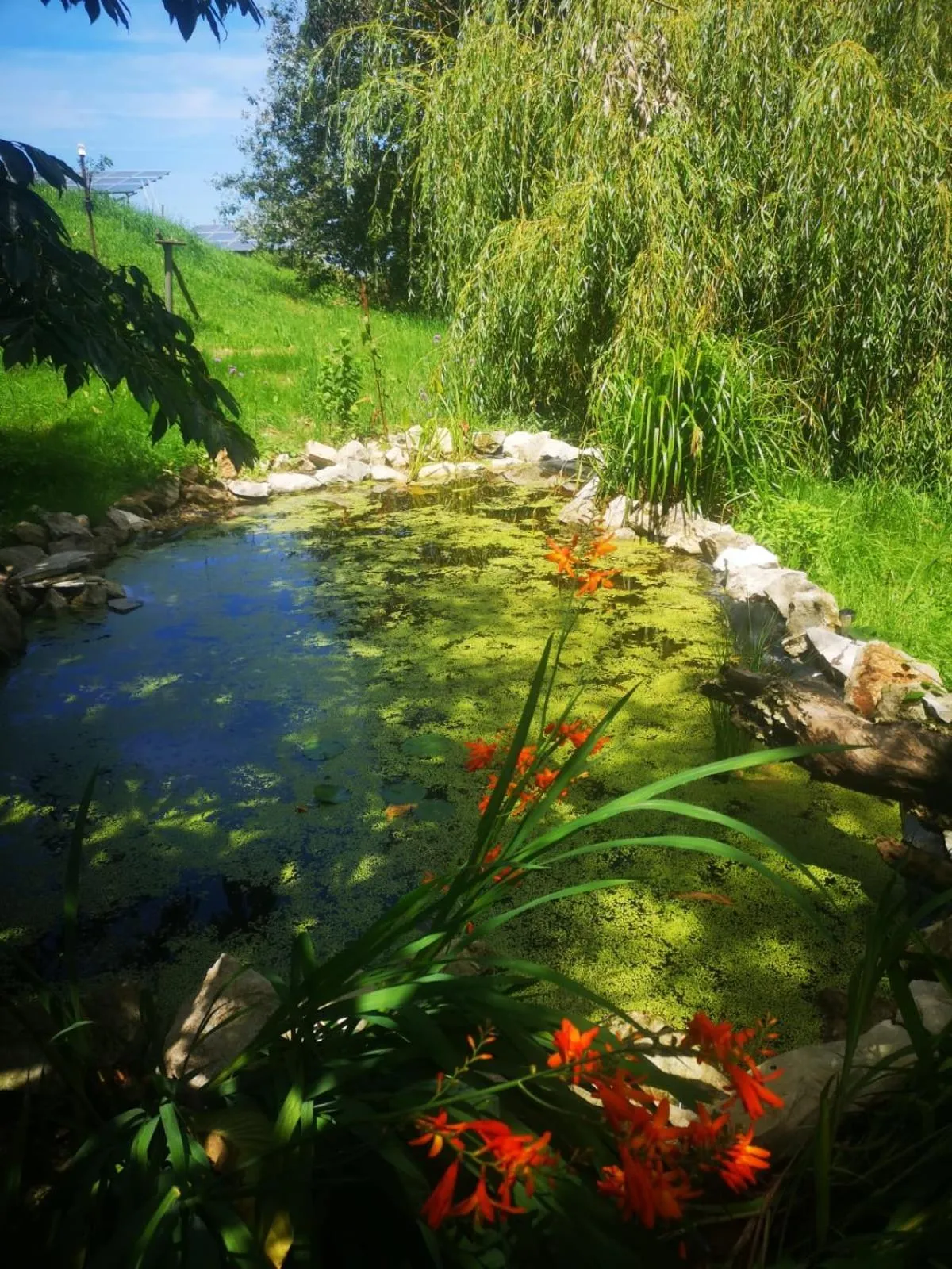 Garden in Posada torre del milano