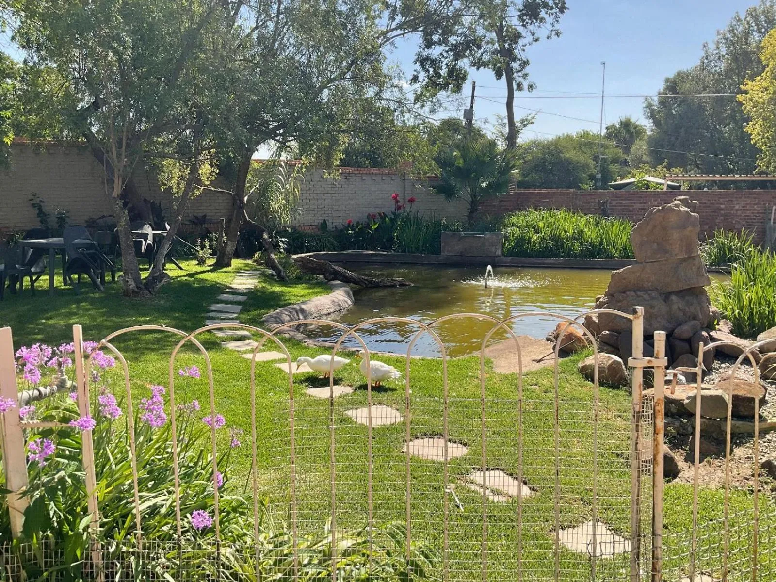 Garden in Royal Olympia Lodges & Safaris RSA