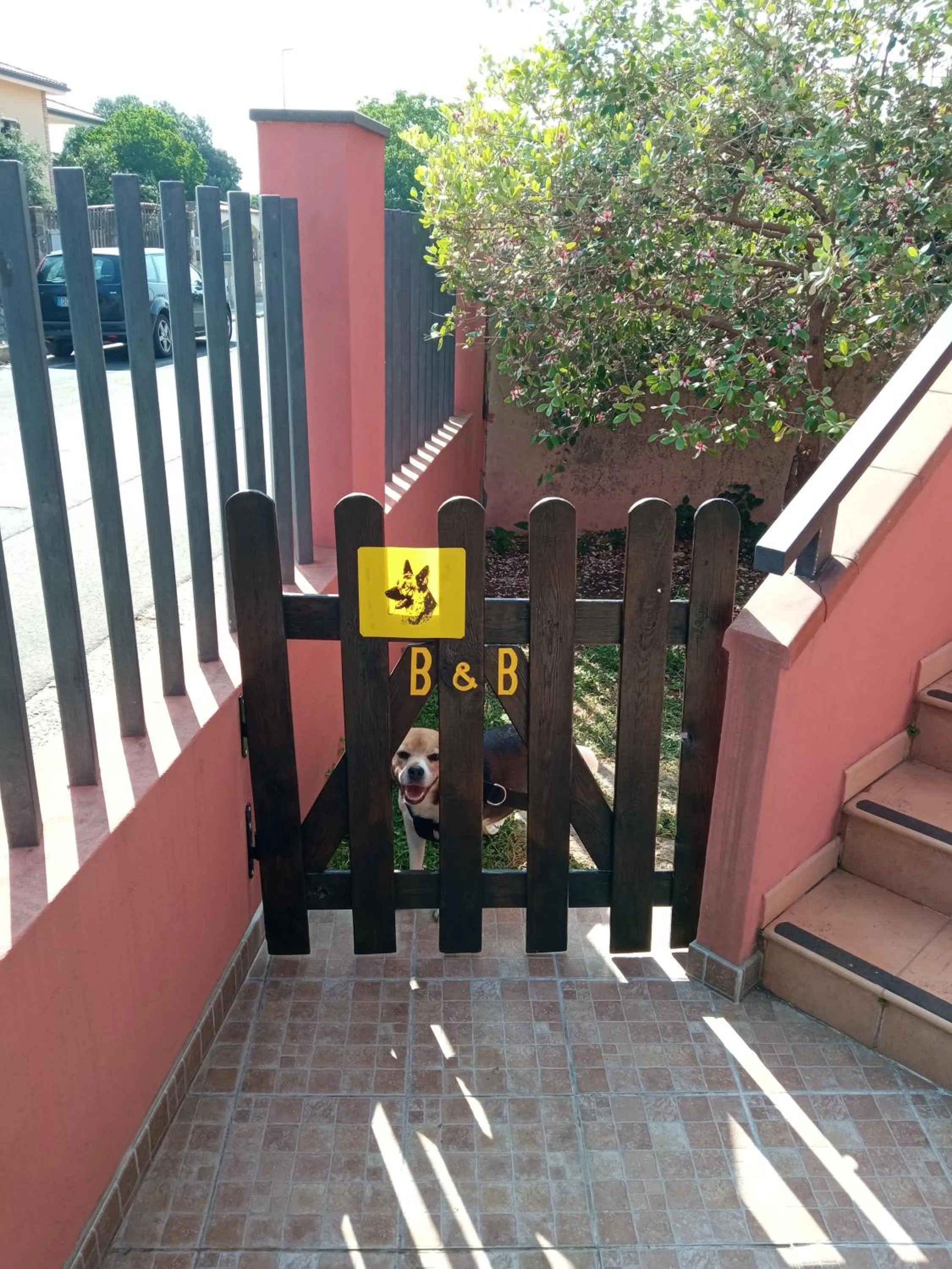 Corona Bed & Breakfast