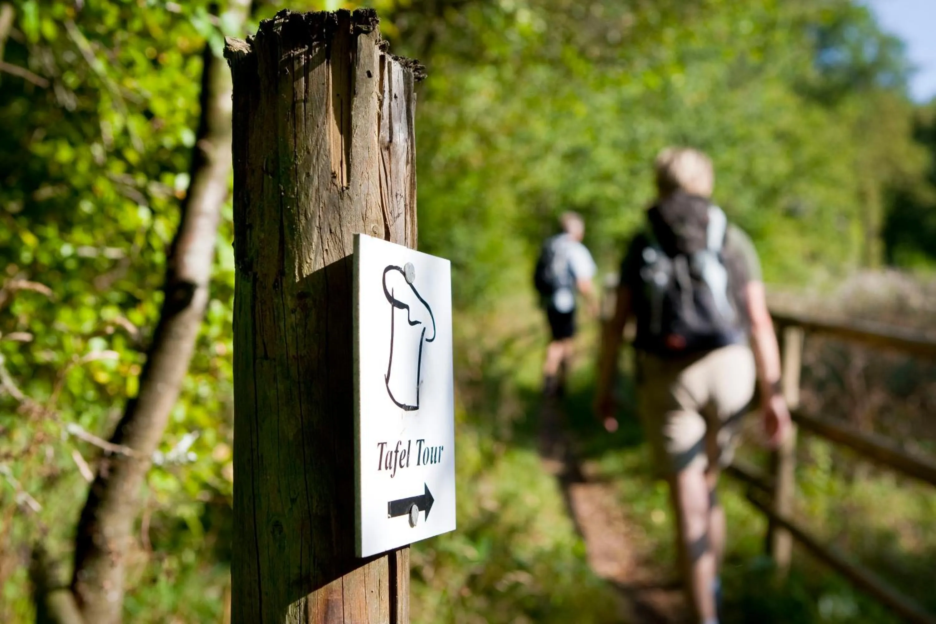 Property building in Hotel Madeleine Biohotel