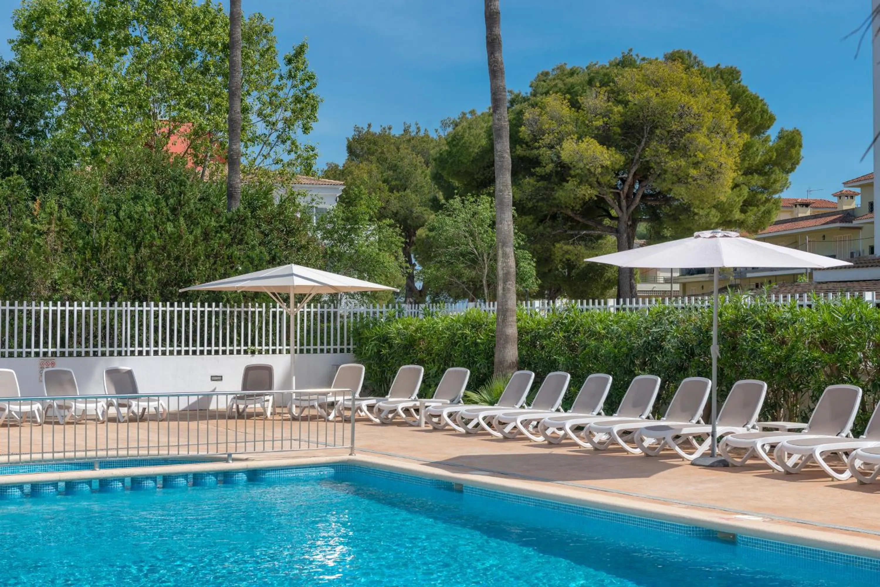 Swimming pool in Olive Beach Apartamentos