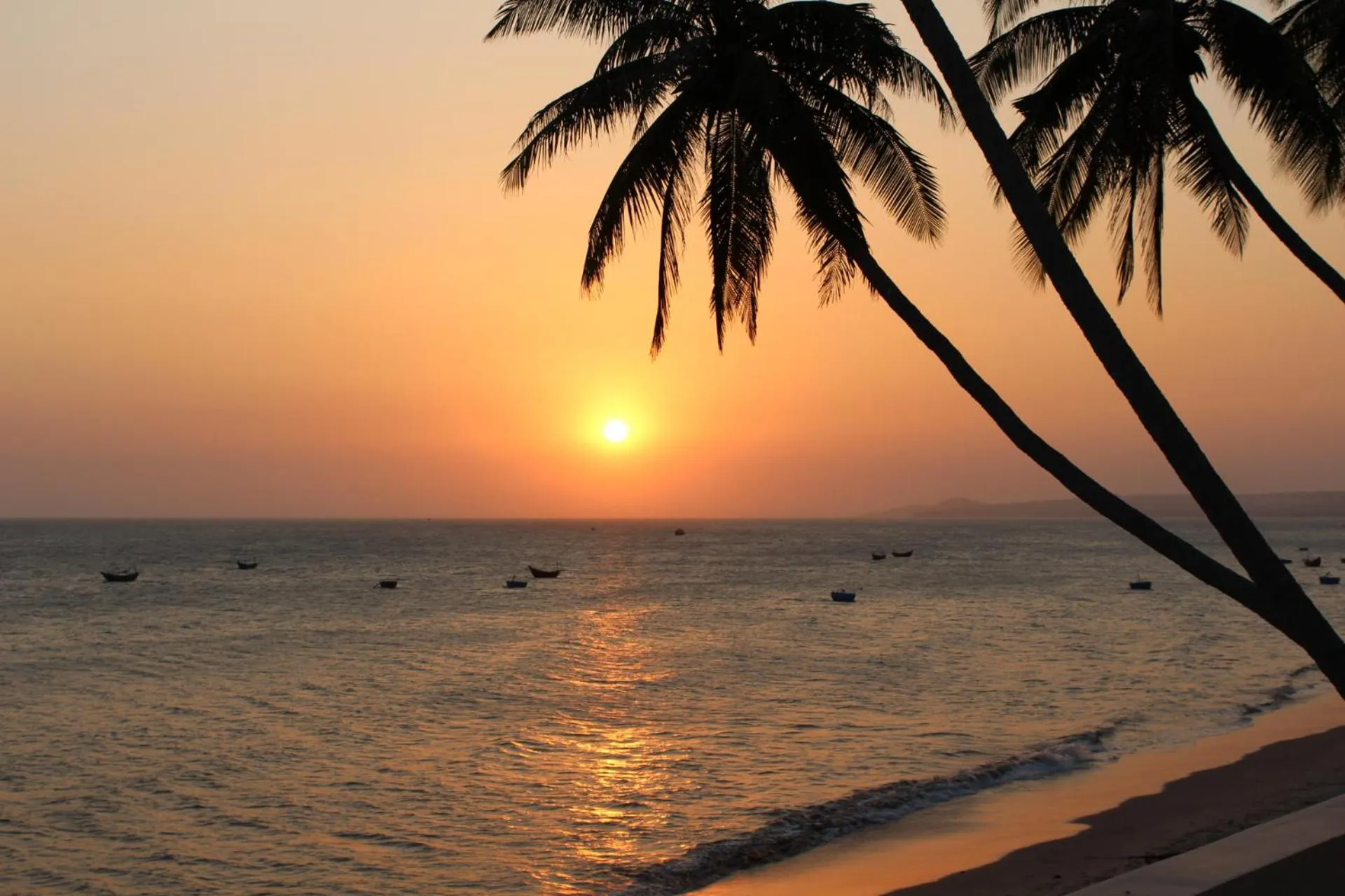 Beach in Surf4You Residence