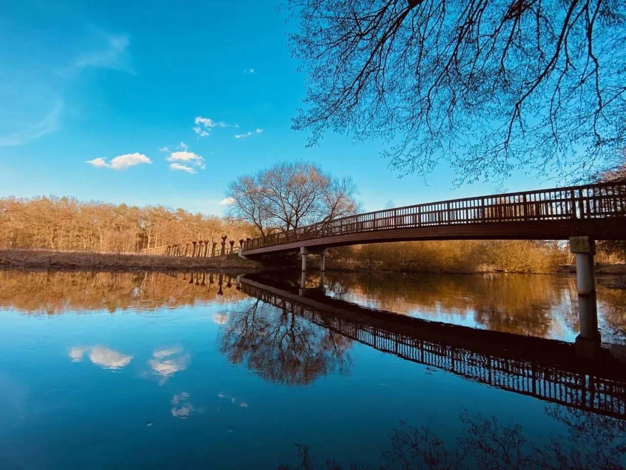 Area and facilities in Hotel Sonnenhügel