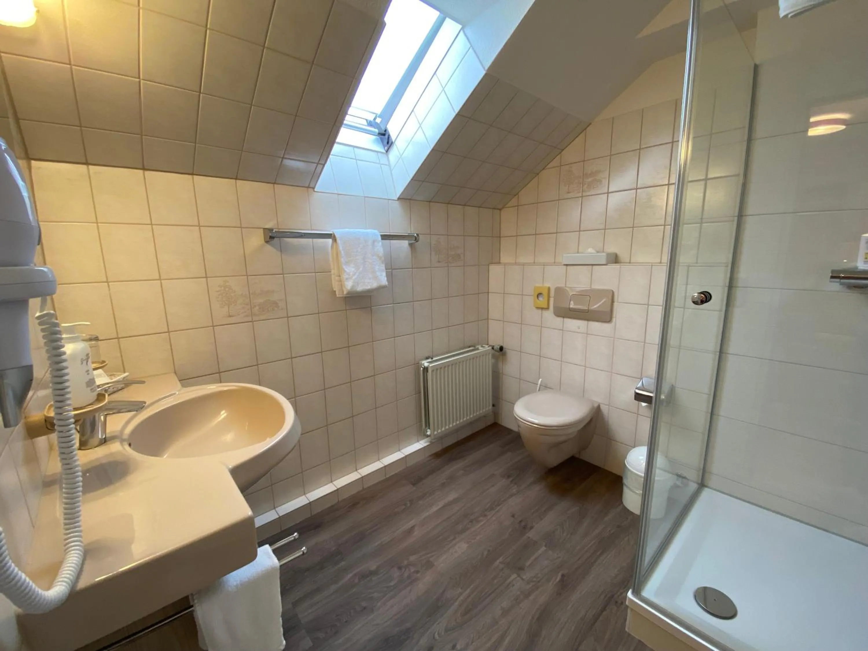 Shower in Hotel Sonnenhügel