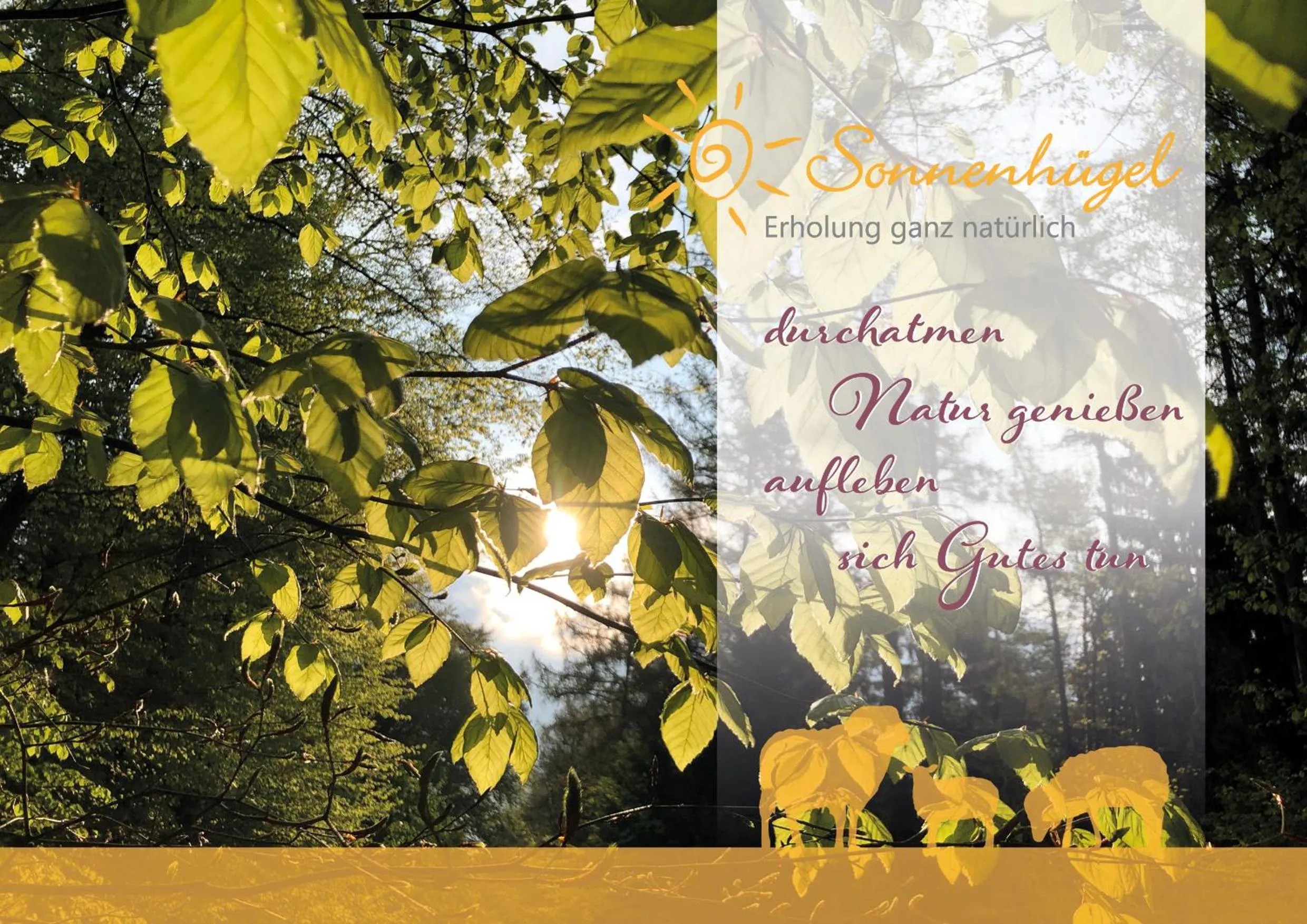 Summer in Hotel Sonnenhügel