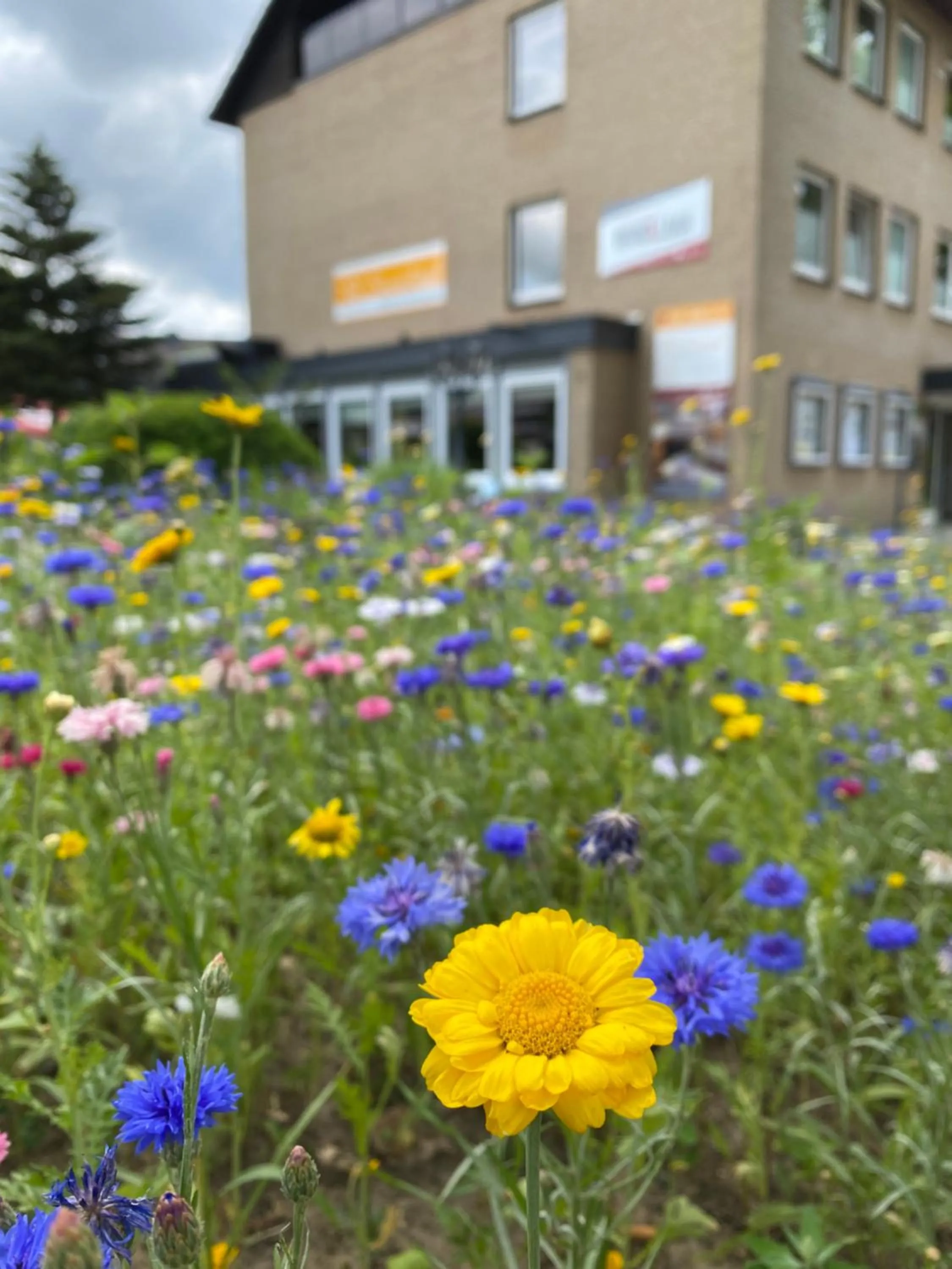 Property building in Hotel Sonnenhügel