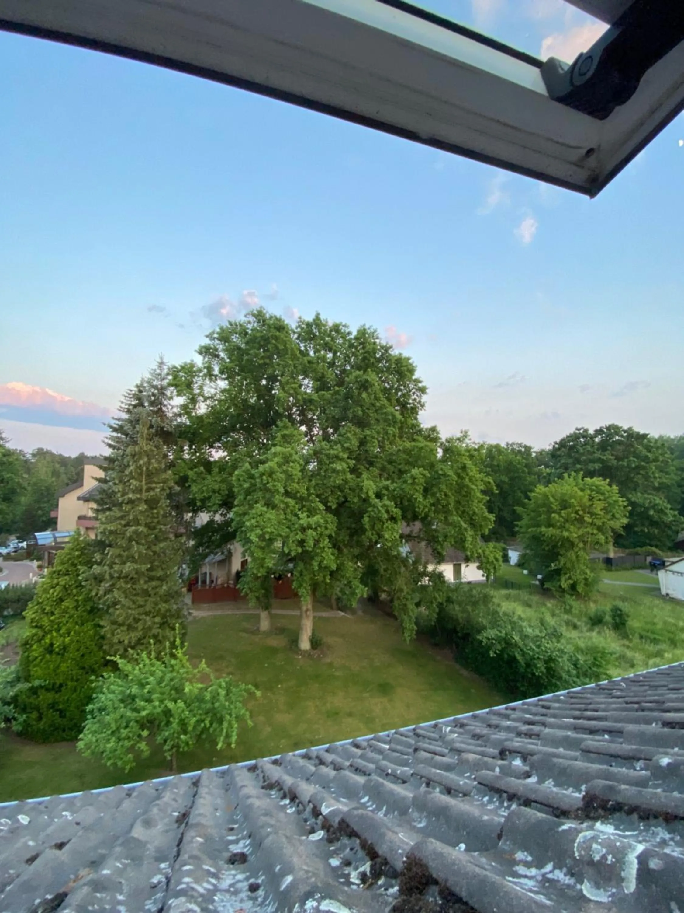 Garden in Hotel Sonnenhügel