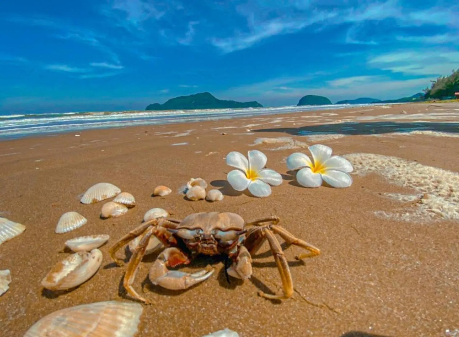 Baan Golden Resort & Residences