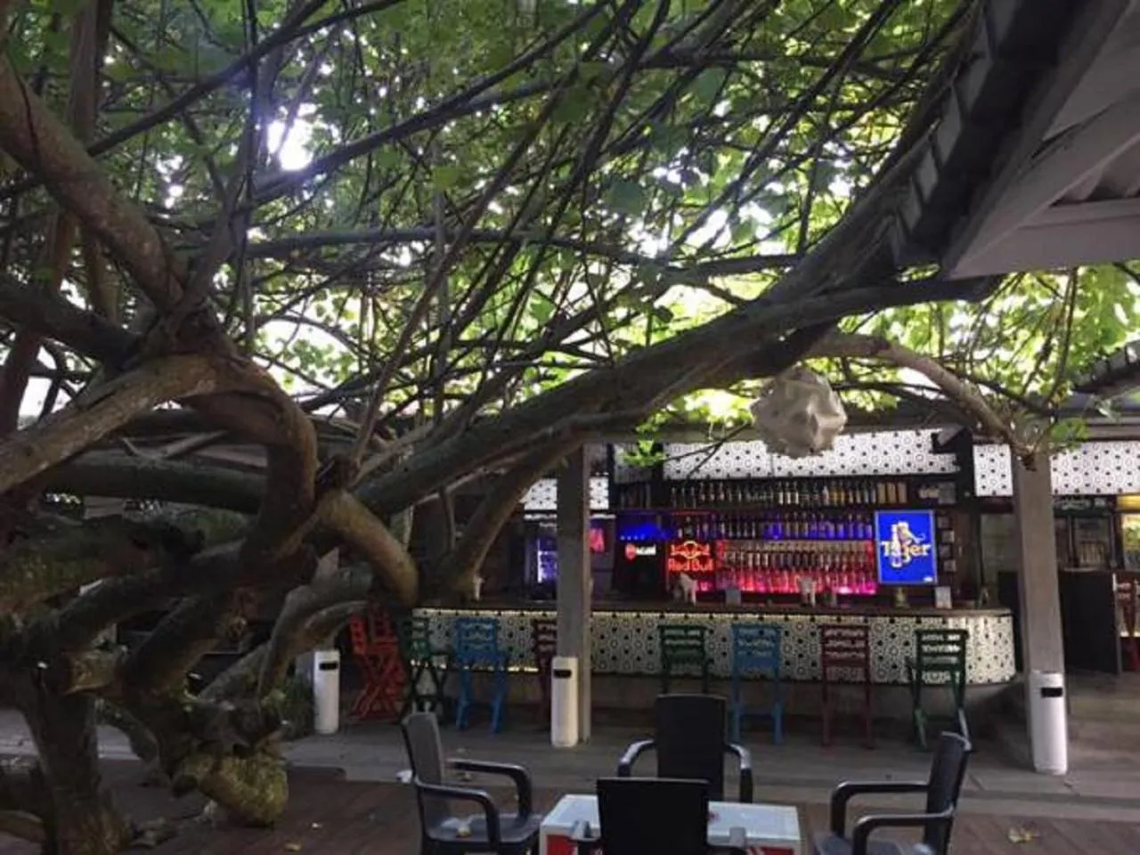 Restaurant/places to eat in Hotel Vibration