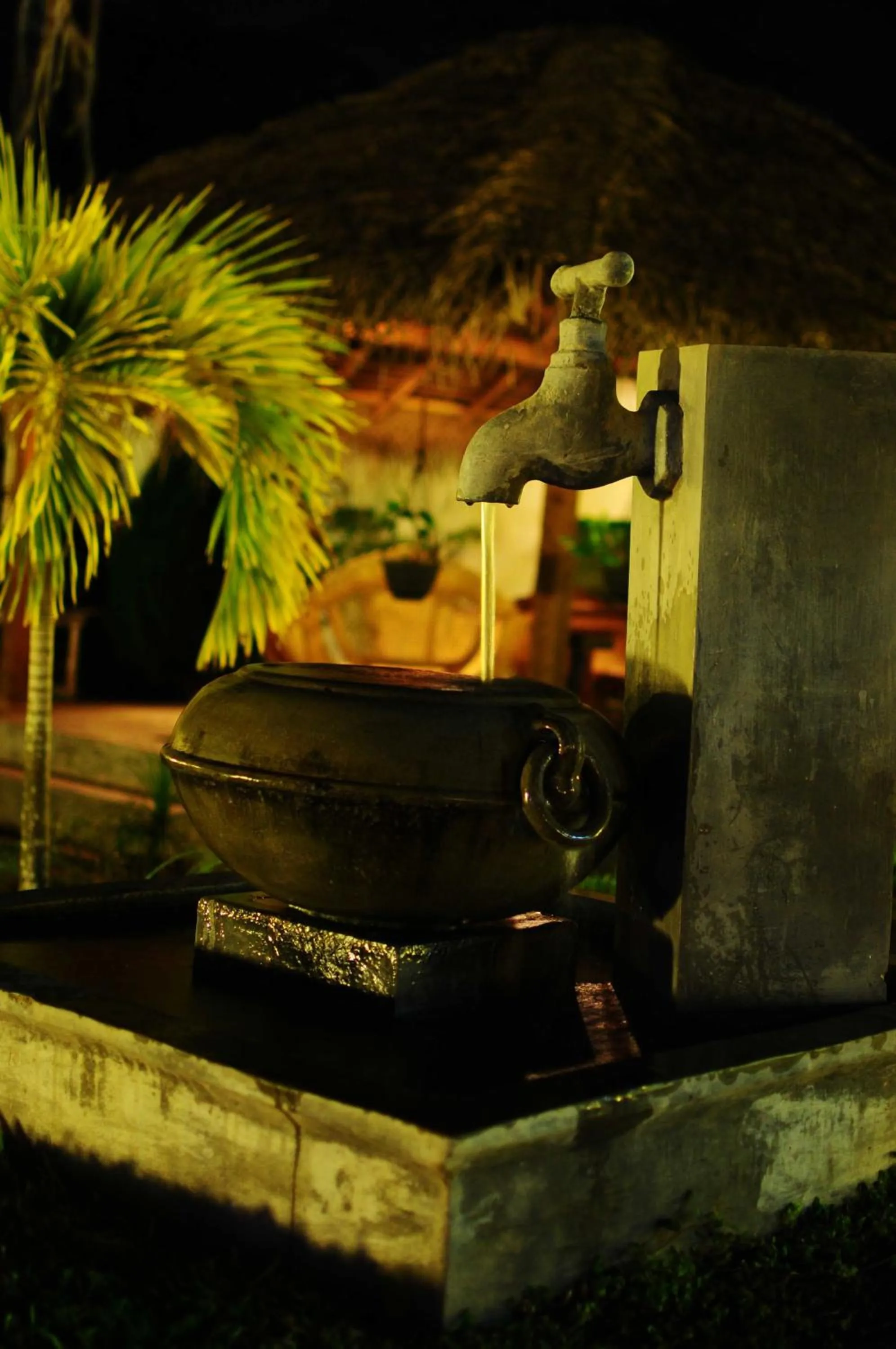 Garden in Hotel Vibration