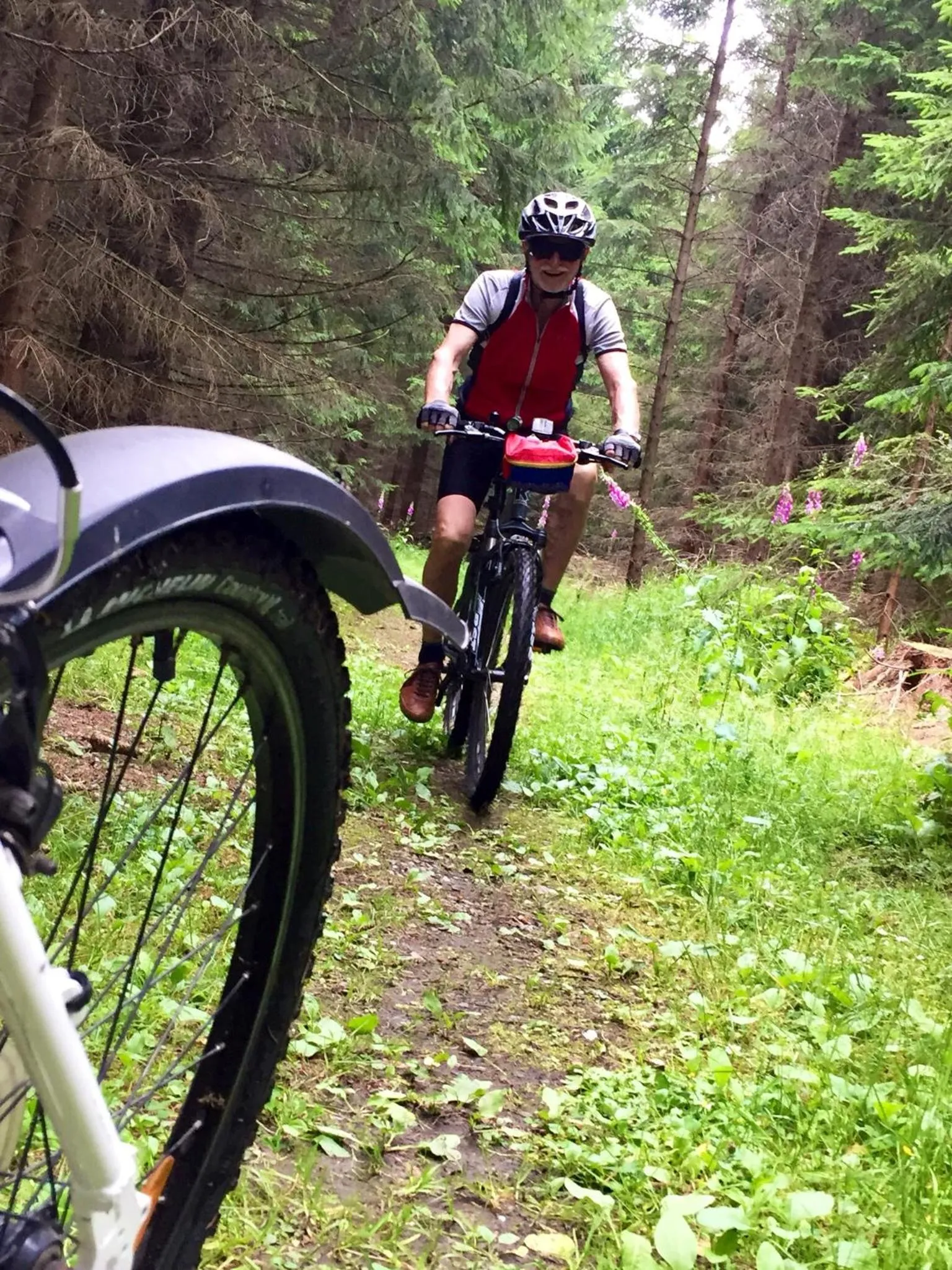 Cycling in Das Jagdhaus Waldidyll Erzgebirge