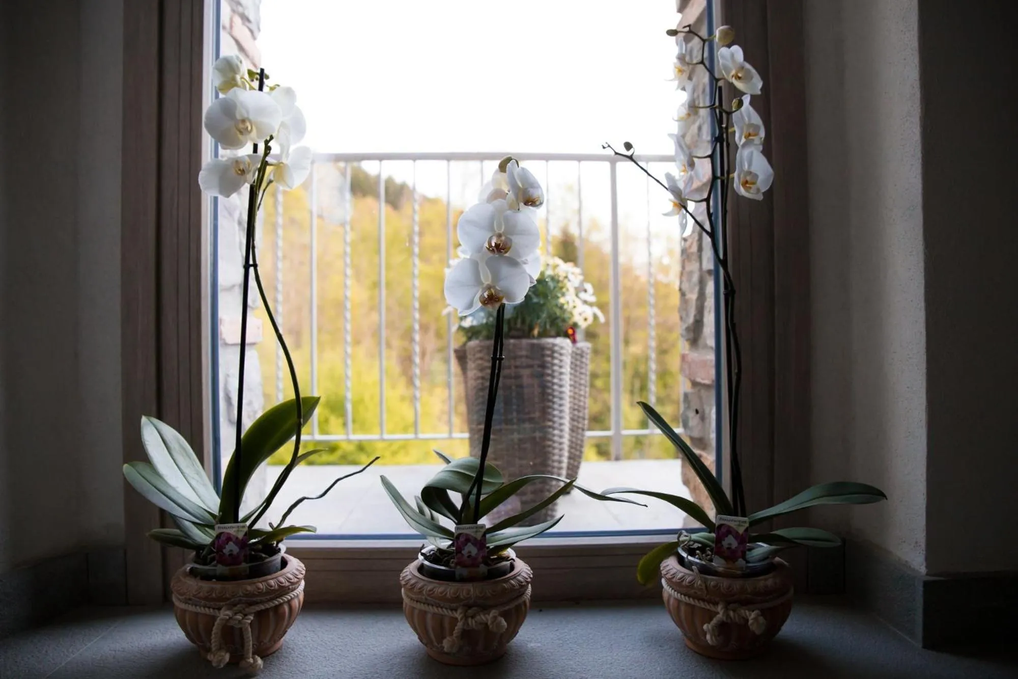 B&B Sopra il Portico