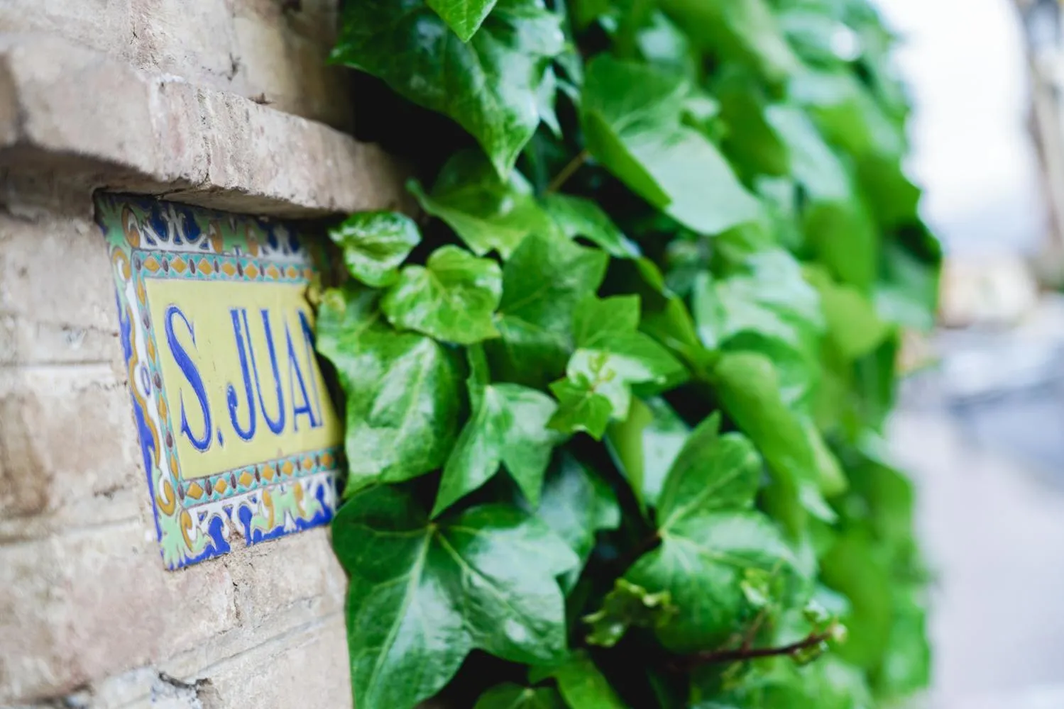 Property logo or sign in Casa Rural Villa San Juan
