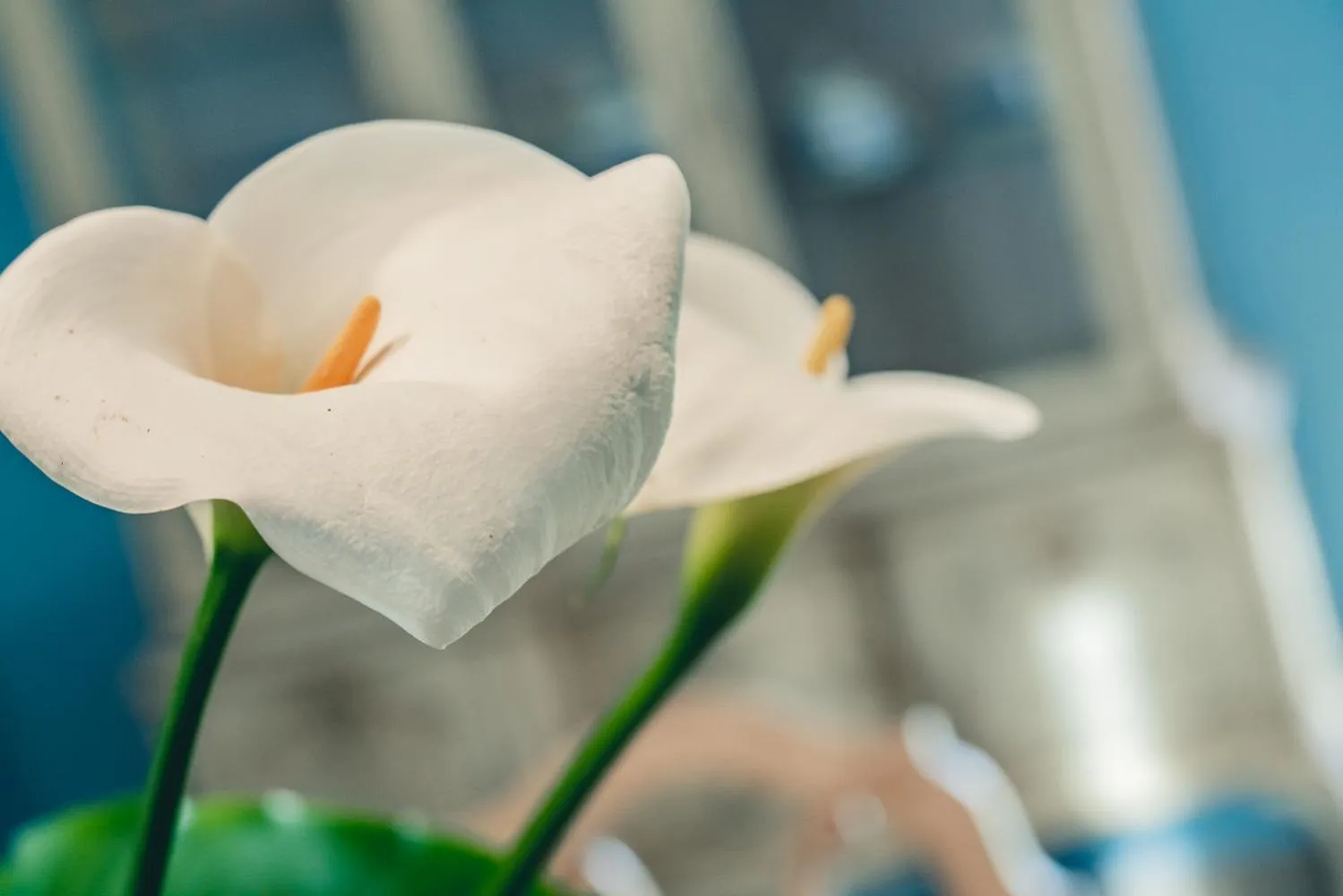 Decorative detail in Casa Rural Villa San Juan
