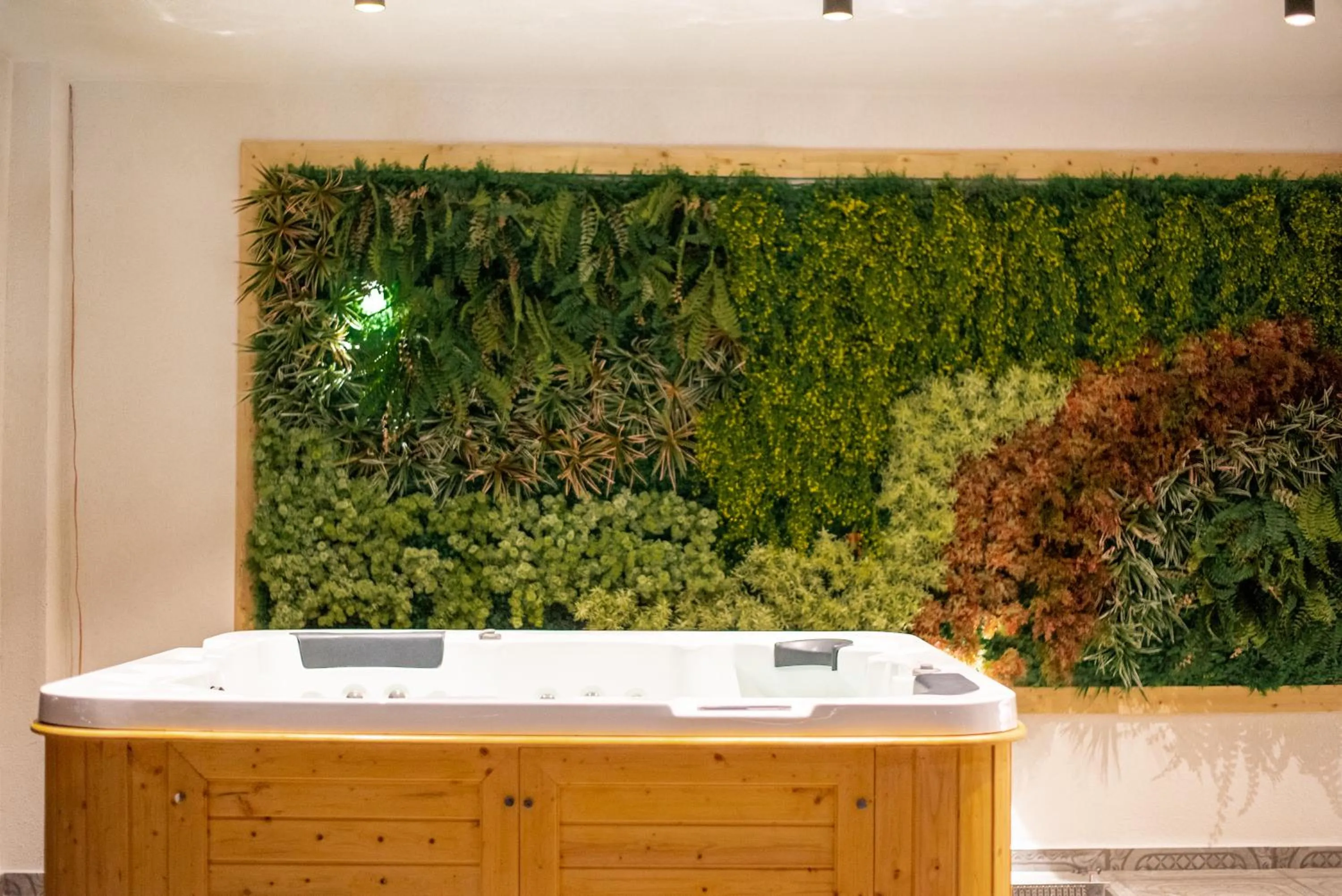 Spa and wellness centre/facilities in Plaza Hotel&SPA