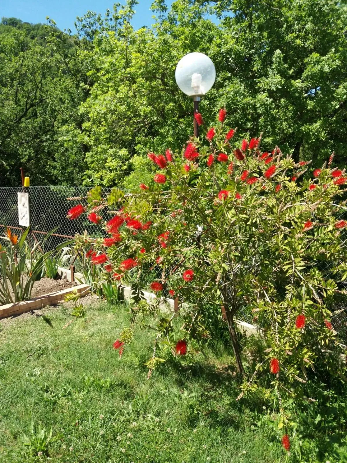 Garden in B&B Parco del Lago