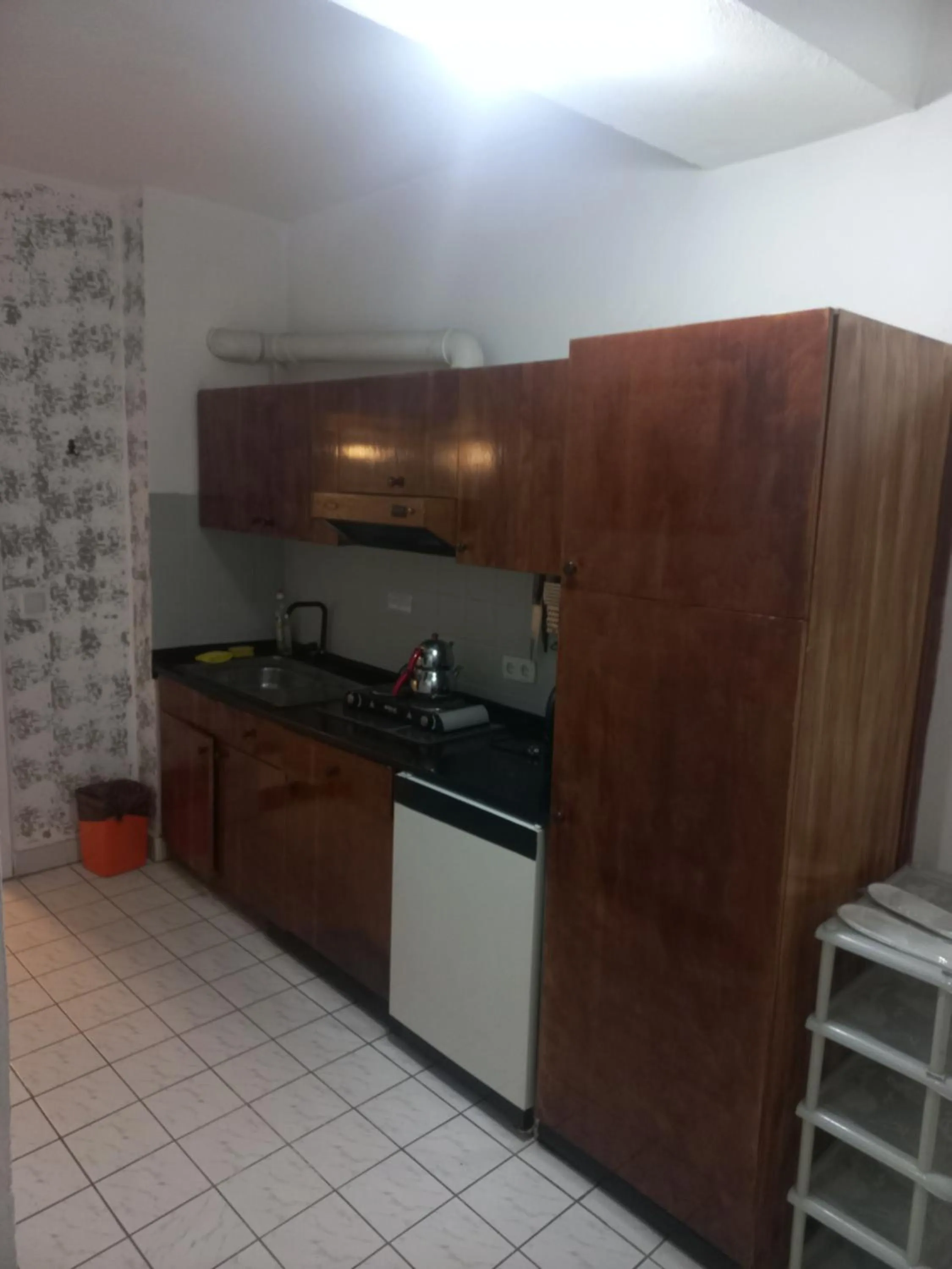 Kitchen or kitchenette in Delphin Hotel Side