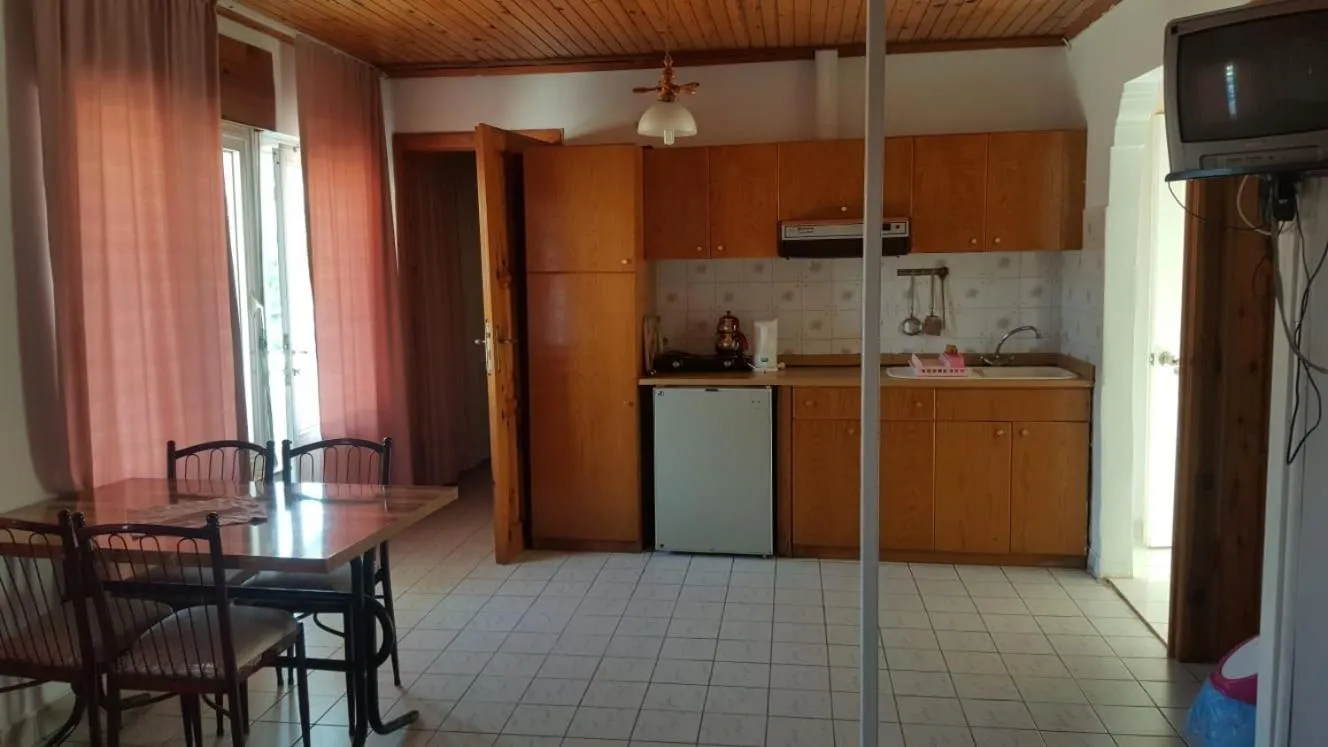 Kitchen or kitchenette in Delphin Hotel Side