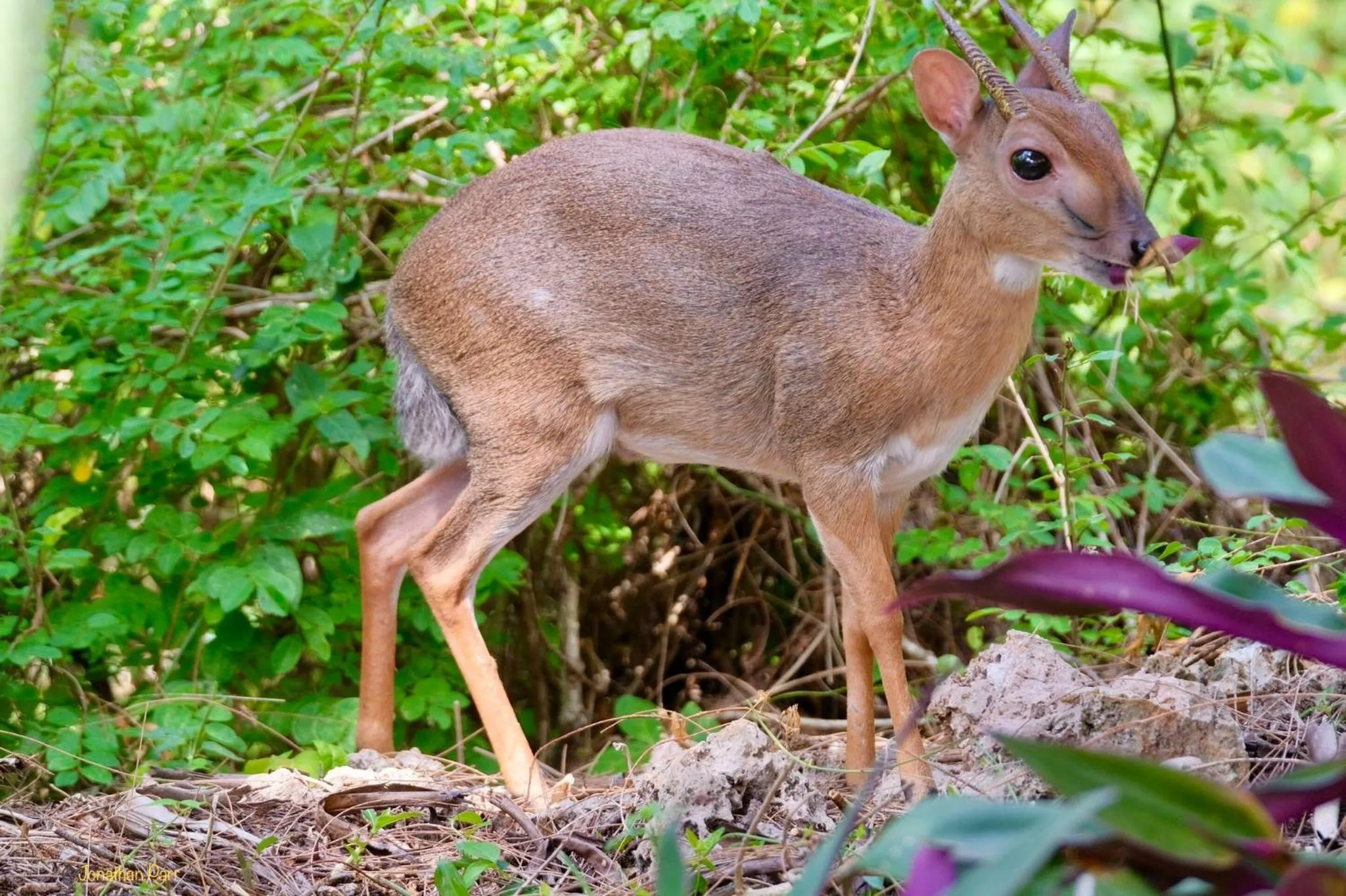Off site in Unguja Lodge