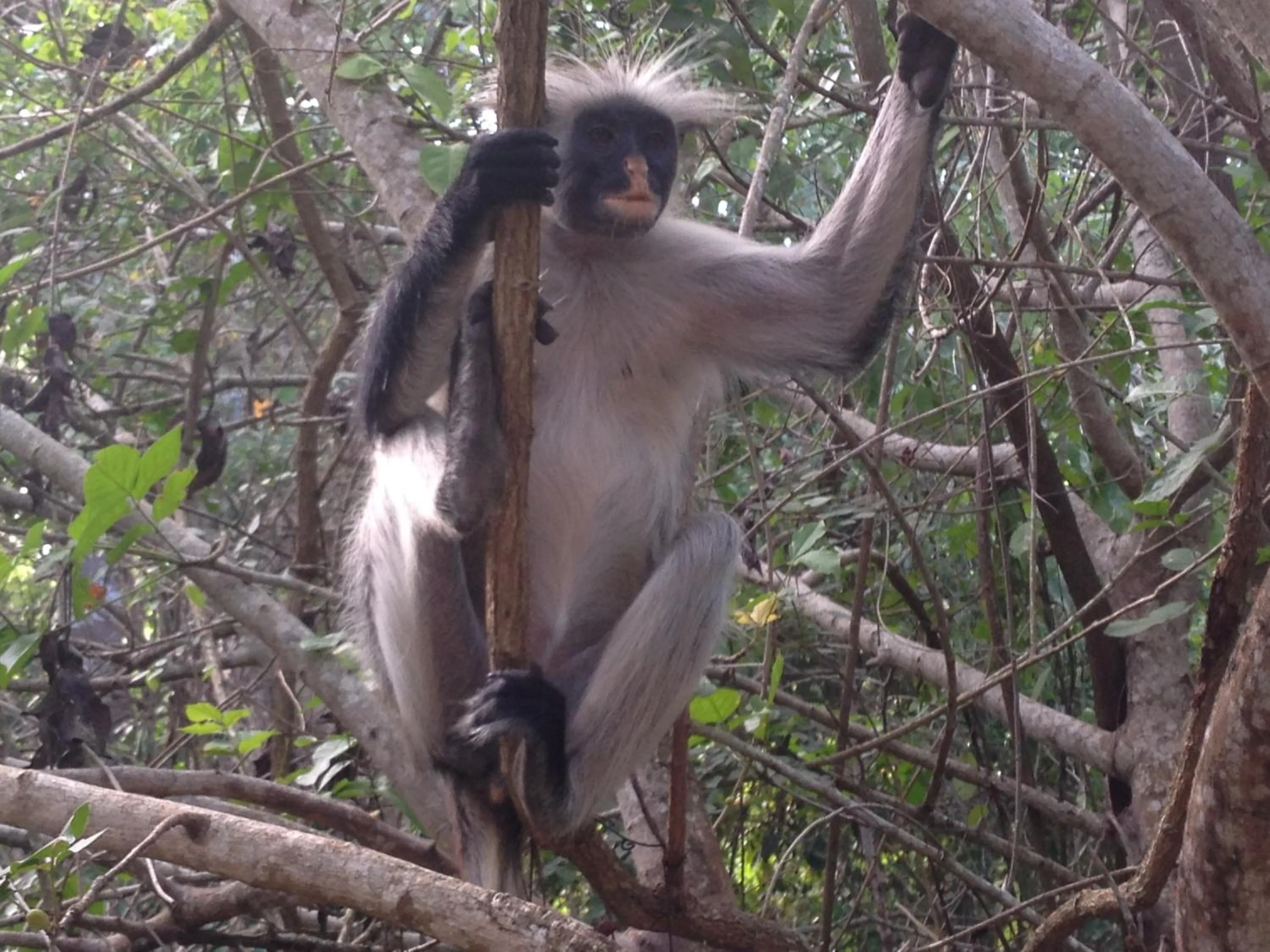 Off site in Unguja Lodge