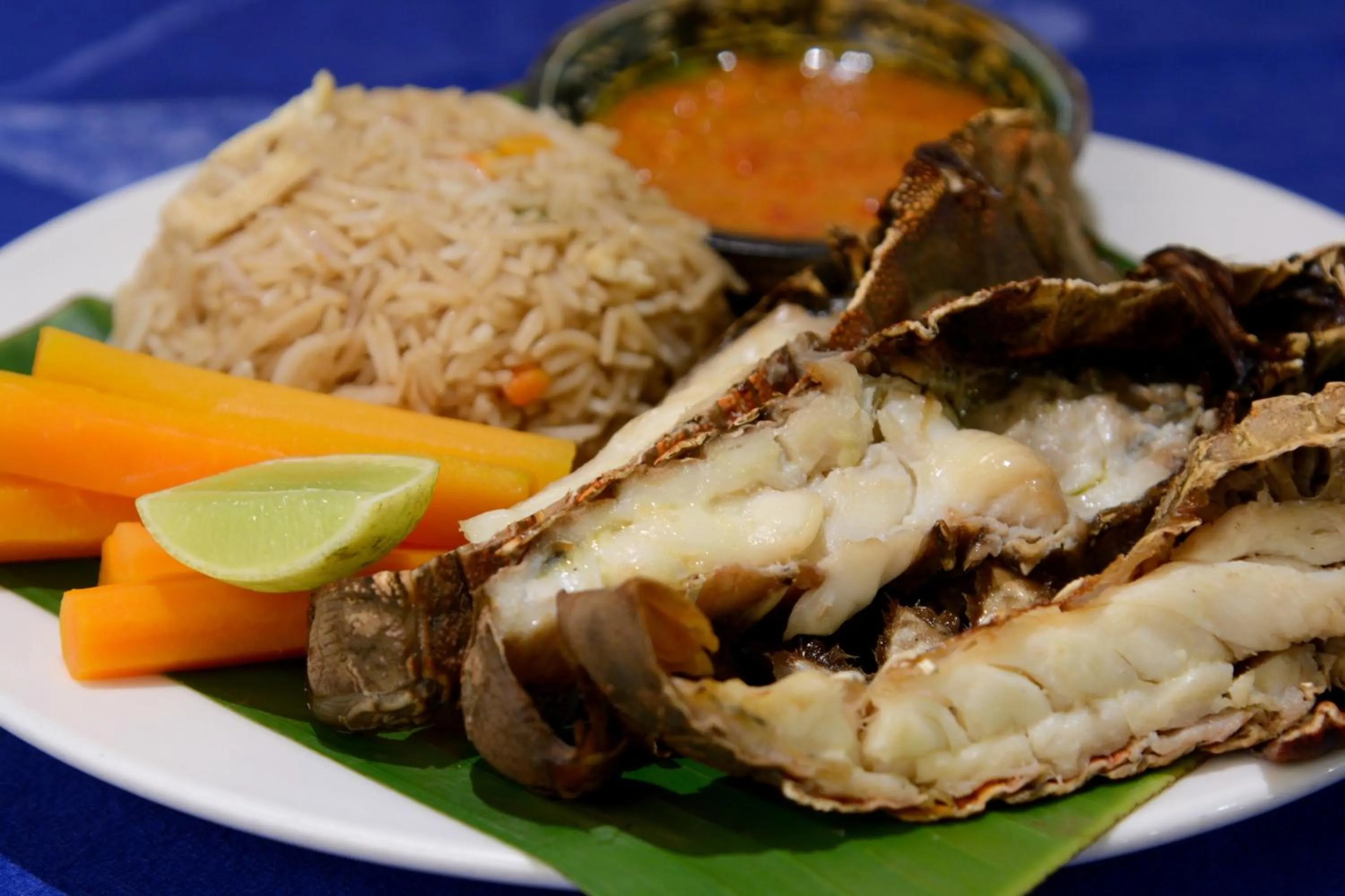 Restaurant/places to eat in Unguja Lodge