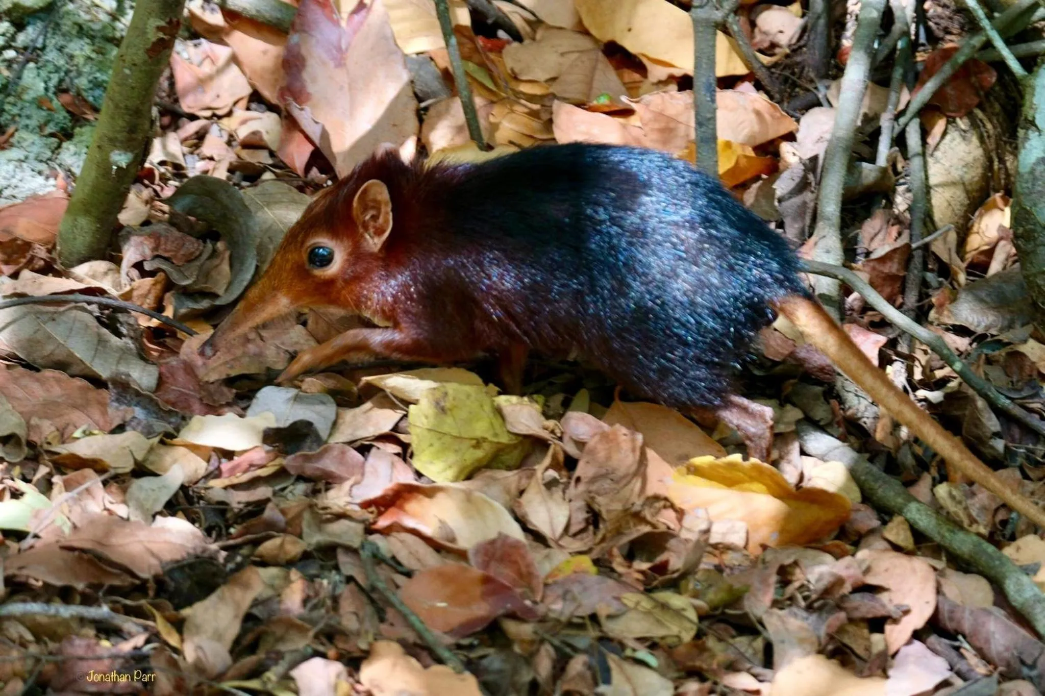 Off site in Unguja Lodge