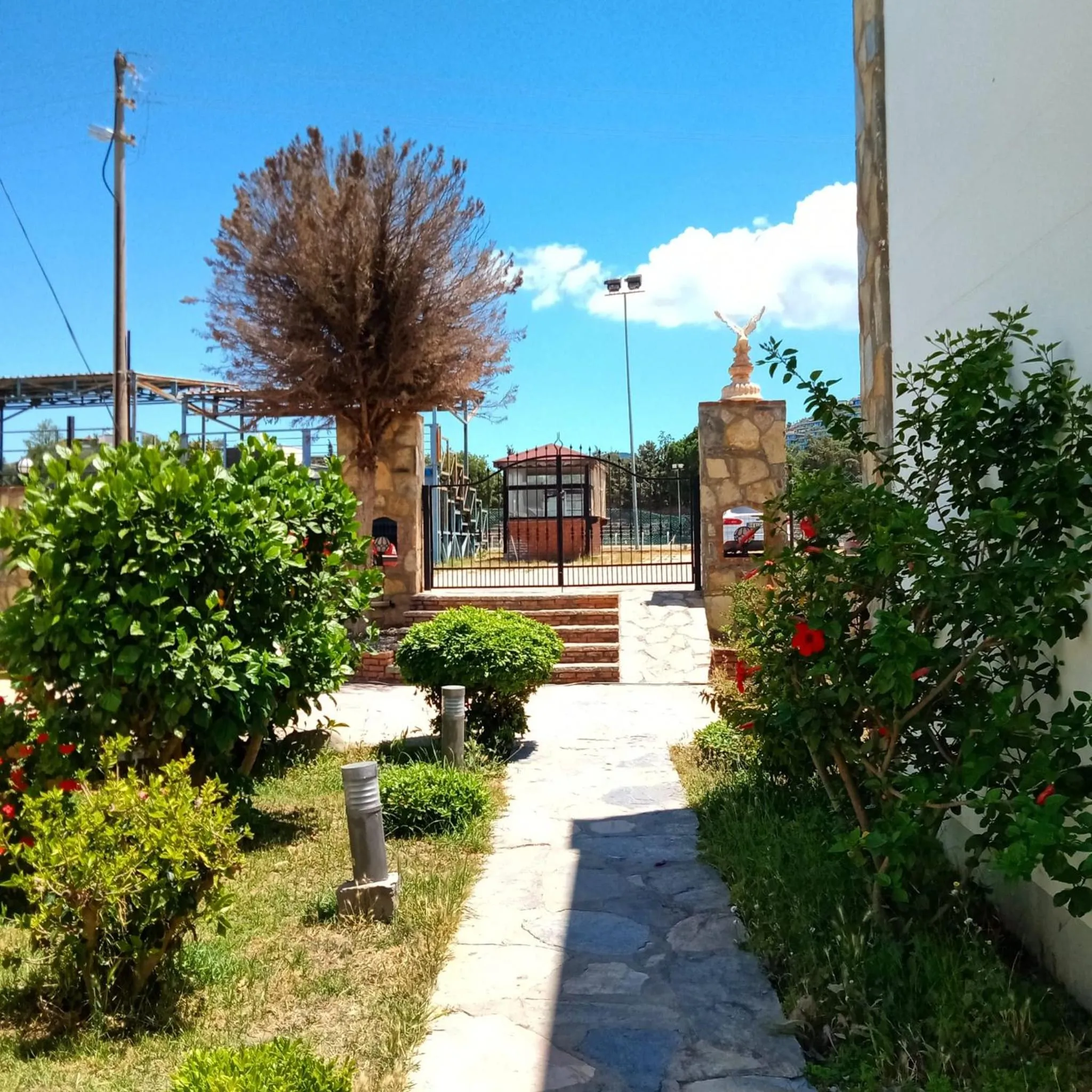 Garden in The Mara Suite