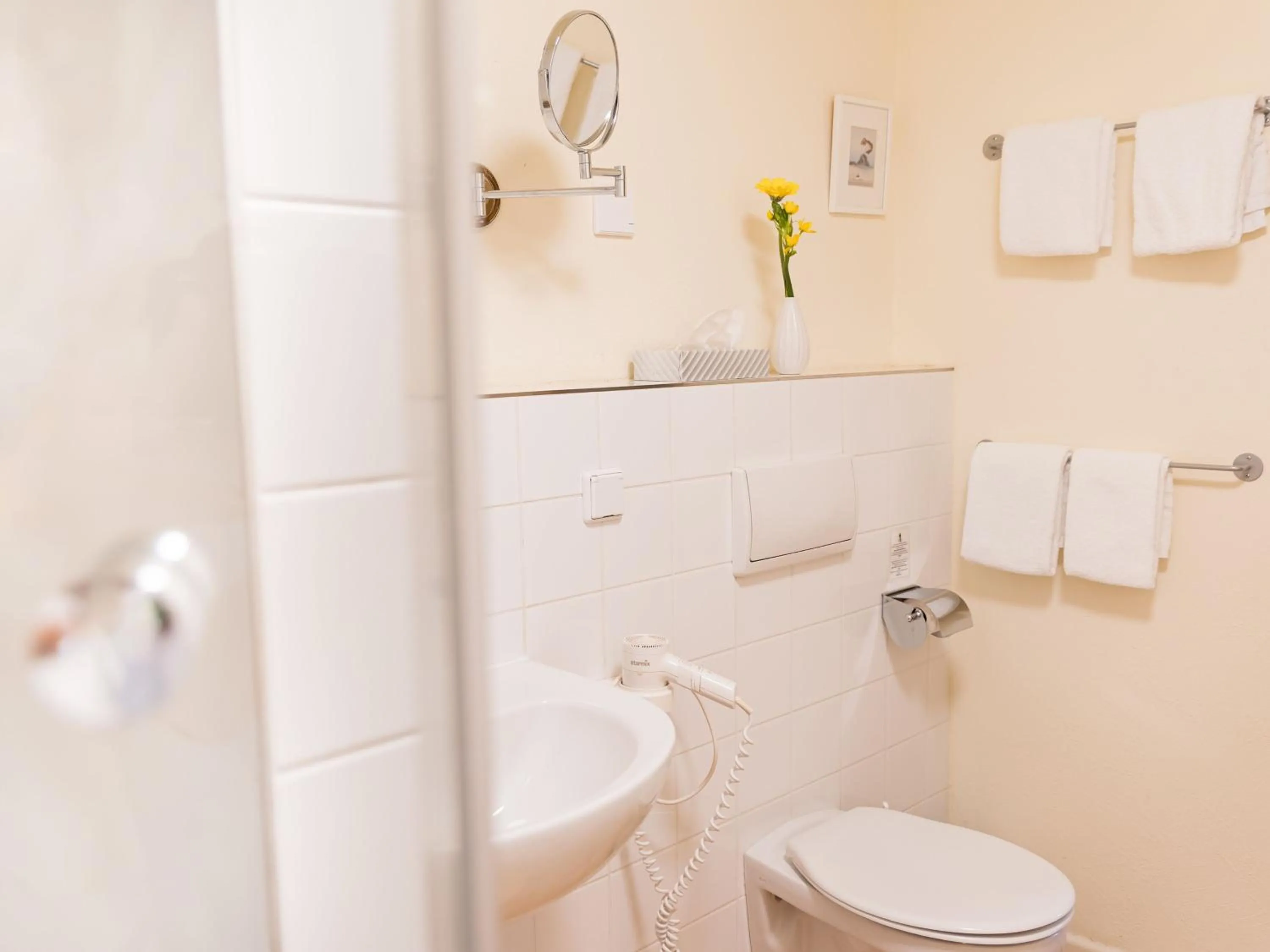 Shower in Landhaus Alte Schmiede