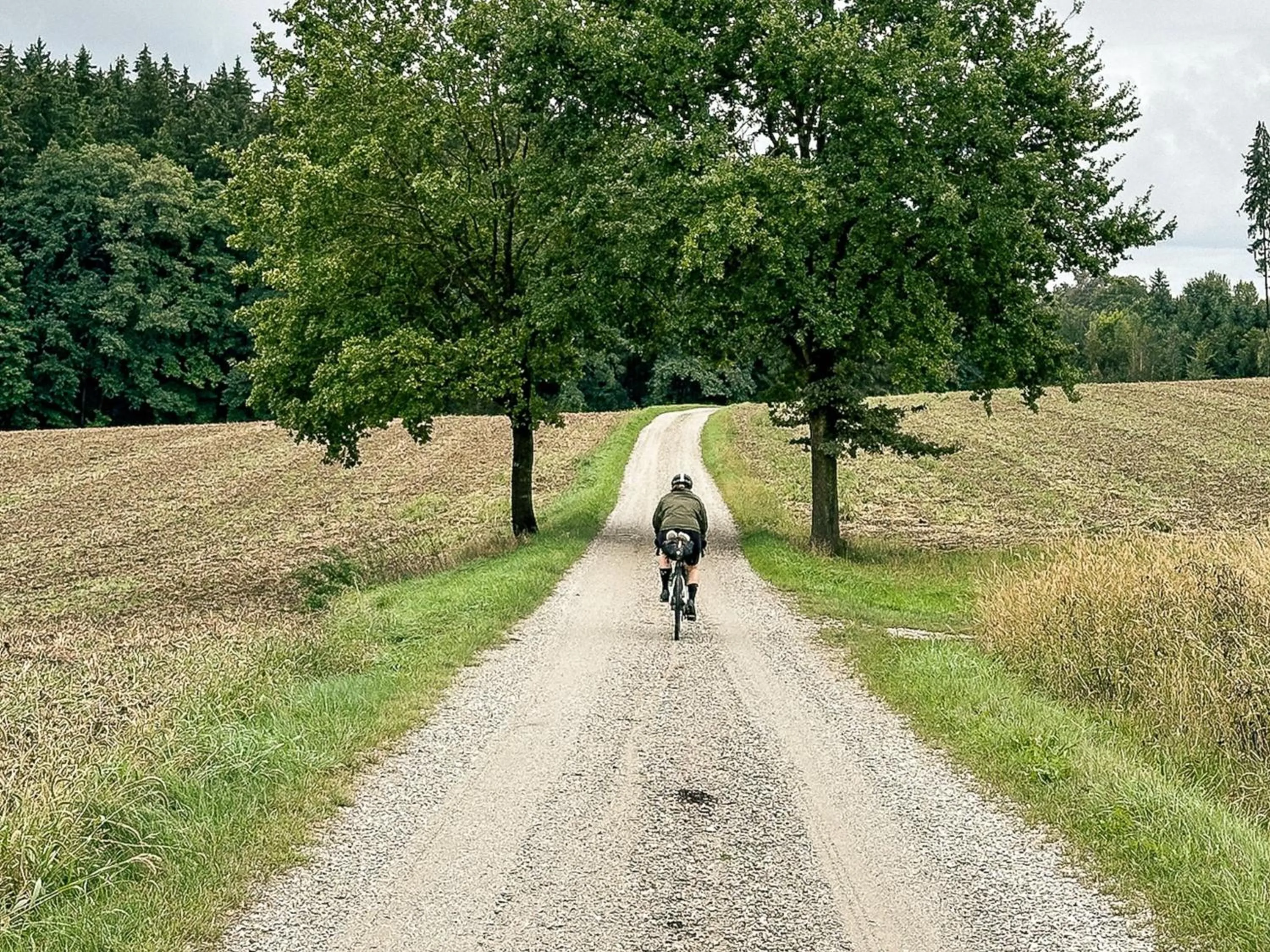 Day in Landhaus Alte Schmiede