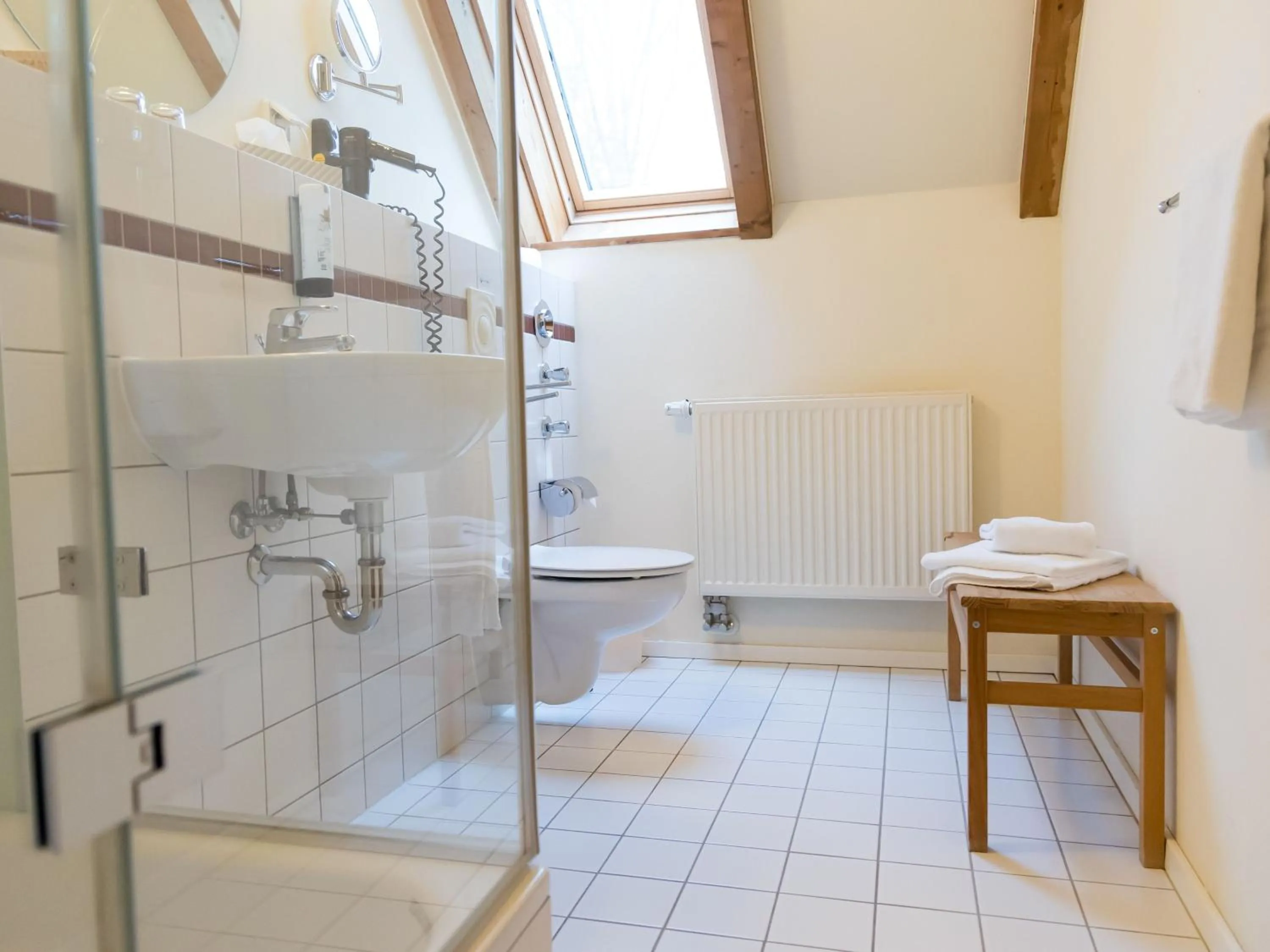 Shower in Landhaus Alte Schmiede