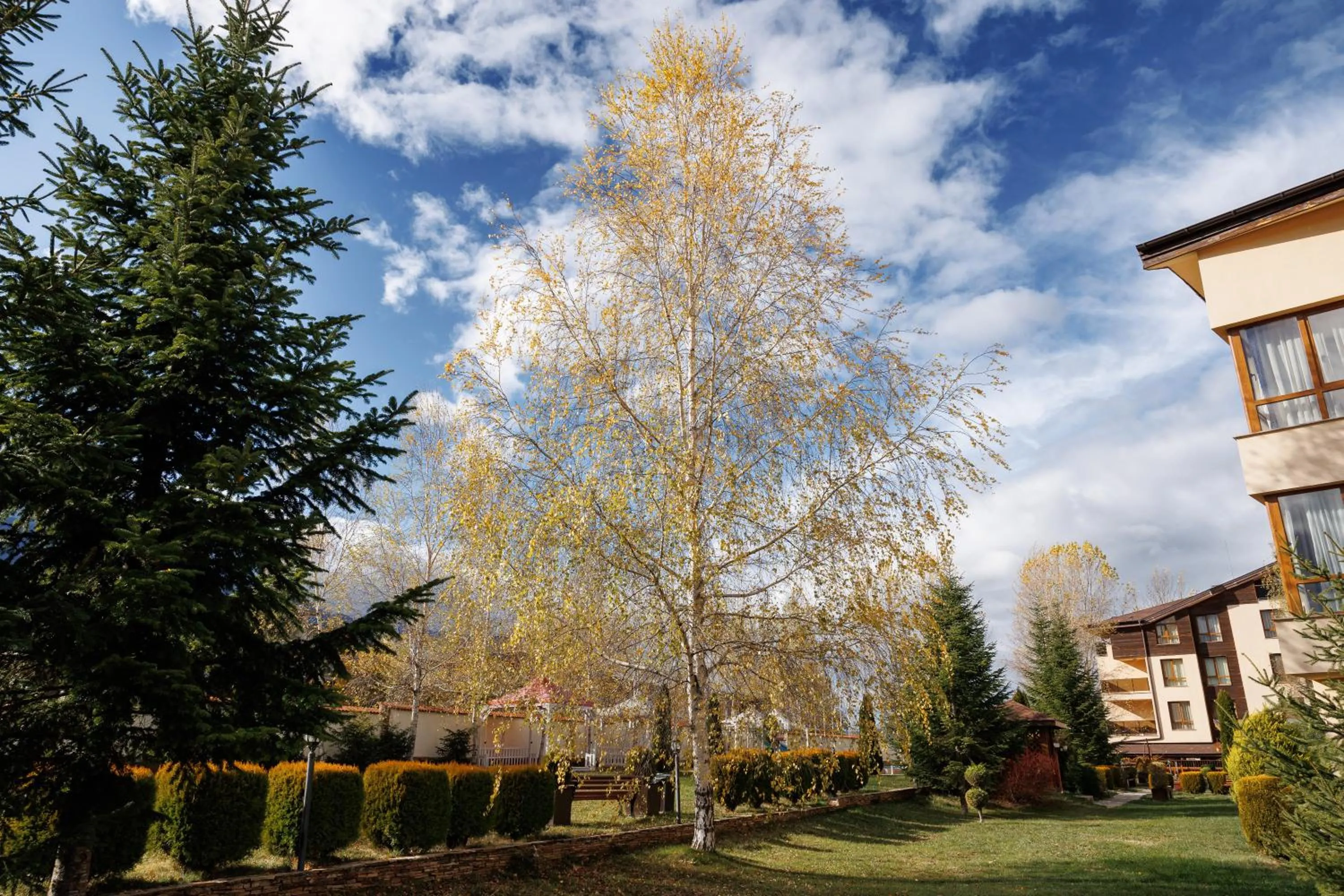 View (from property/room) in Green Wood Hotel & Spa